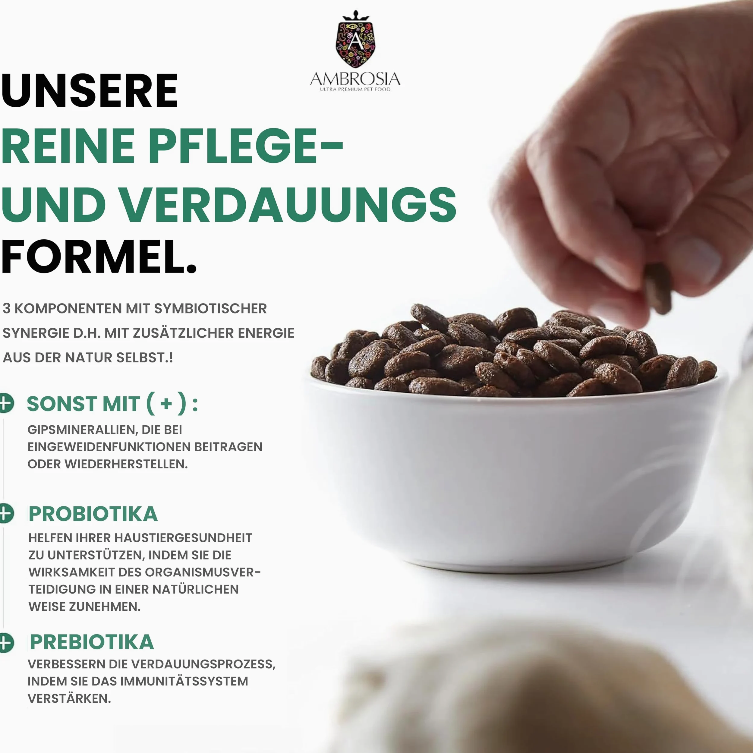 Ambrosia Ultra Premium Pet Food - Świeży indyk i łosoś – kontrola wagi – całościowo hipoalergiczna, nie zawiera zbóż, dla starszych i sterylizowana karma dla psów (12 kg)