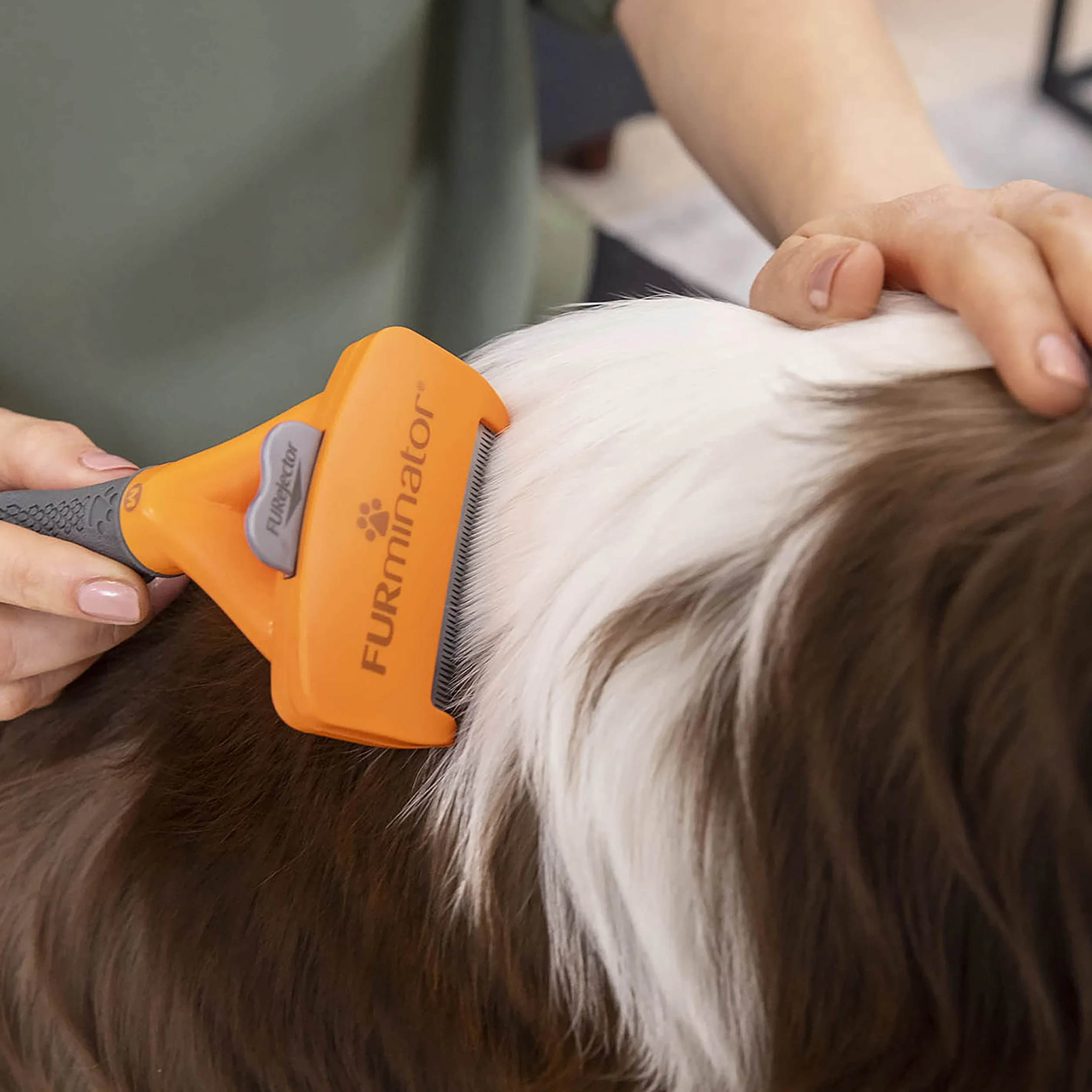 Furminator 141068 Szczotka dla Psów M Czarny Pomarańczowy