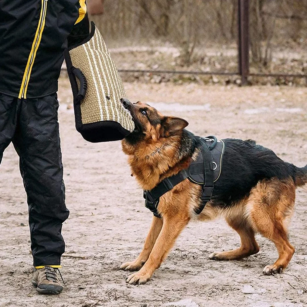 Ochraniacz na ramię psa, rękawy i szczęki dla psa, trwała jutowa rączka do gryzienia