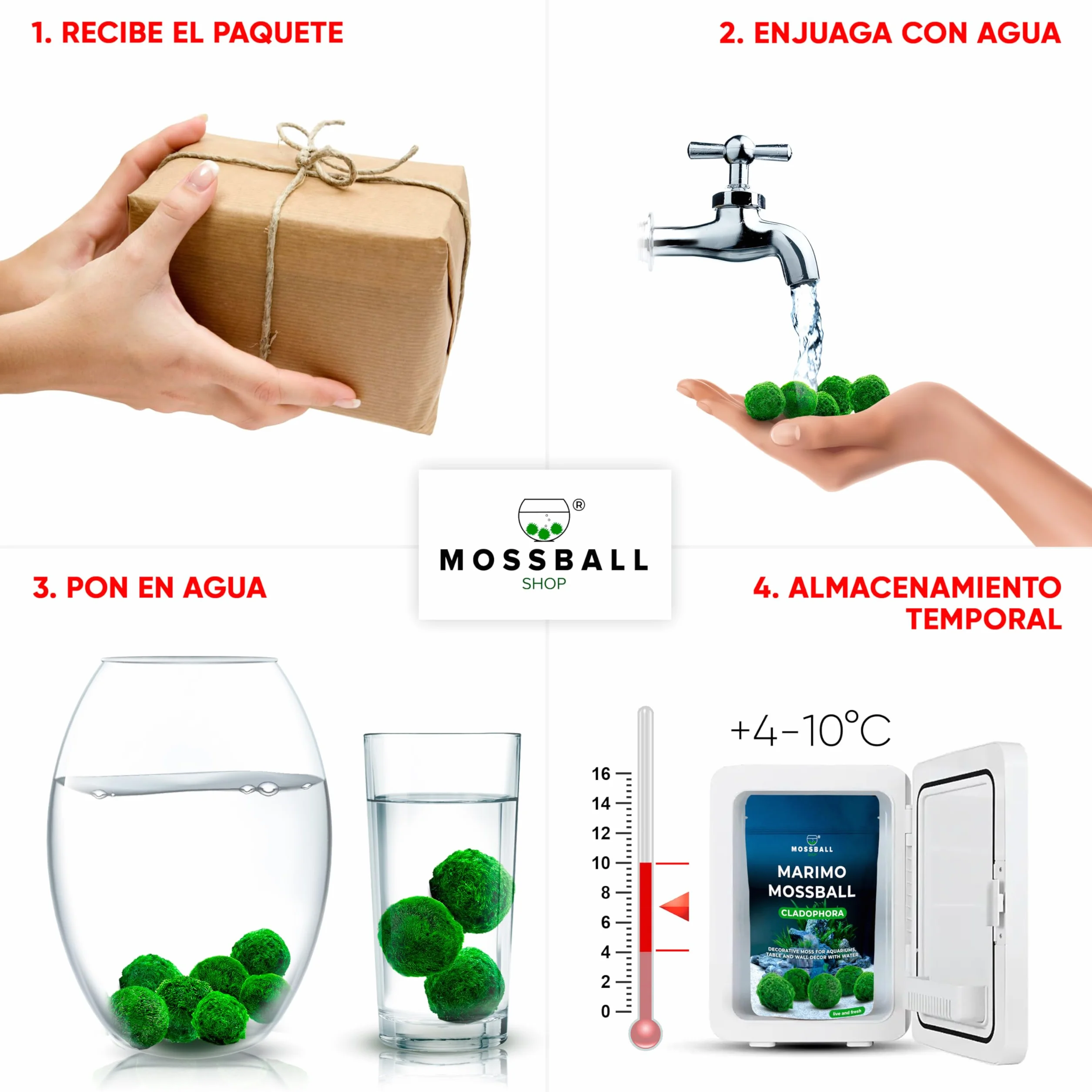20 + 1 szt. kule mchu akwarium Cladophora aegagropila linneiae mech rośliny akwariowe rośliny wodne dekoracja rośliny prawdziwe marimo piłki mchu akwarium marimo moosball (1-3 cm)