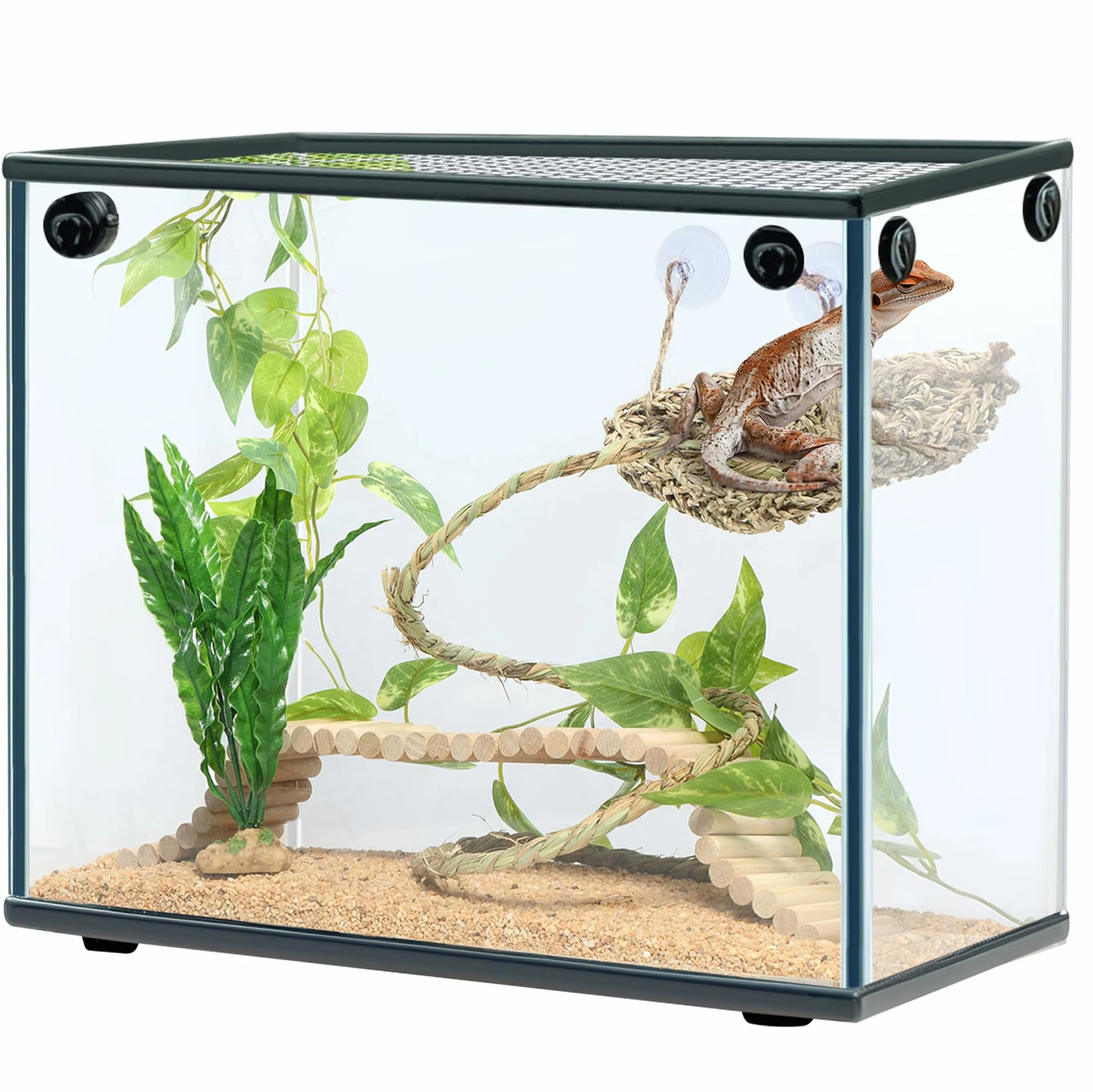 Navaris Zestaw 5 akcesoriów do terrarium z brodą, hamak trójkątny, linka 50 cm, dwie rośliny, drewniany most, pasuje dla gadów
