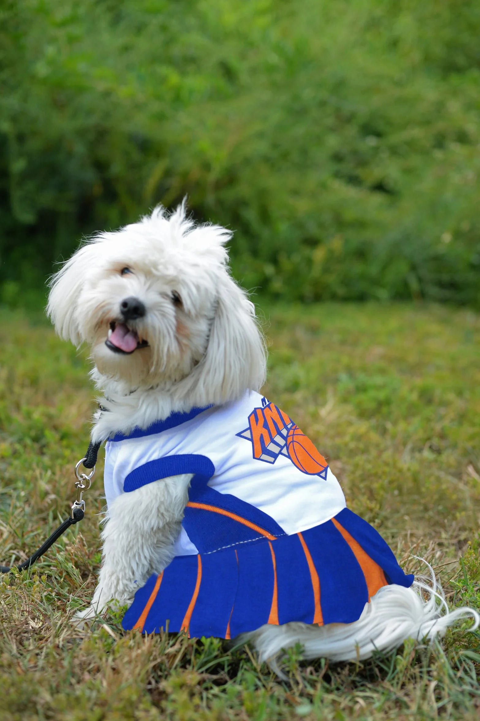 Pets First NBA New York Knicks pies cheerleader sukienka, mała