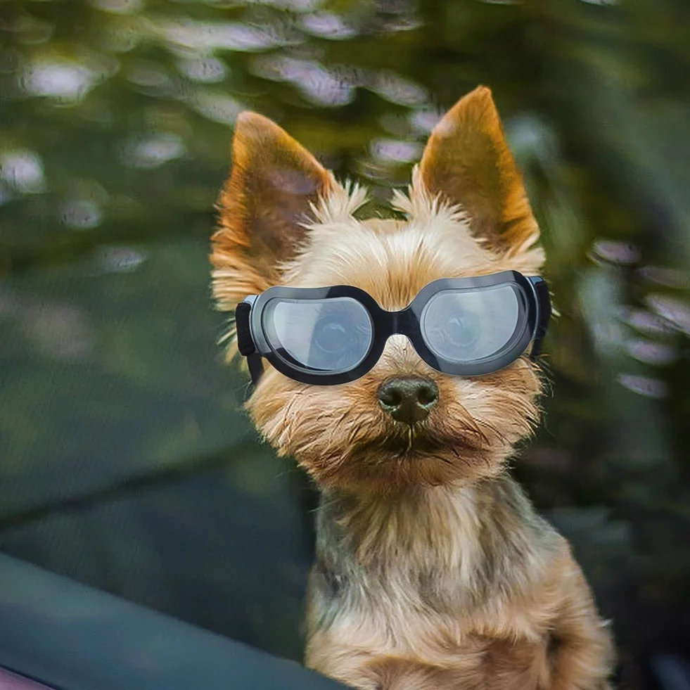 ENJOYING Okulary przeciwsłoneczne dla małych psów, gogle z filtrem UV dla szczeniąt, wiatroszczelna ochrona oczu na rower i do auta, regulowane paski, stylowy czarny (Cool Black)