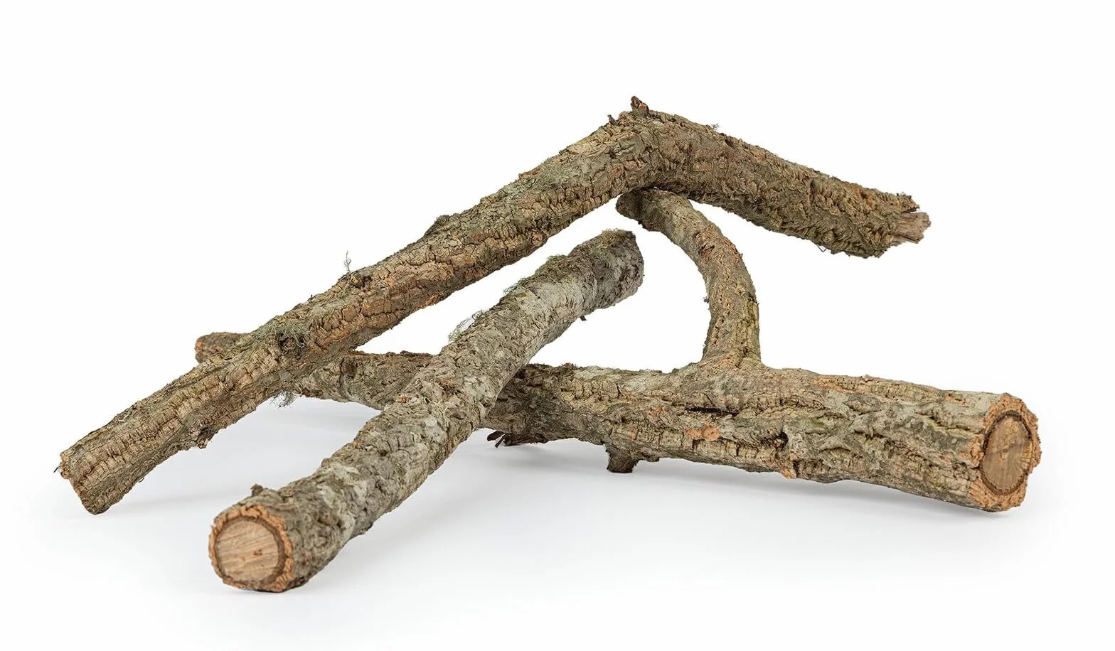 HAPPET Gałąź Korkowa do Terrarium 50 cm – Naturalna Dekoracja z Kory Dębu Korkowego, Odporna na Wilgoć i Pleśń, Idealna do Wspinaczki i Aranżacji