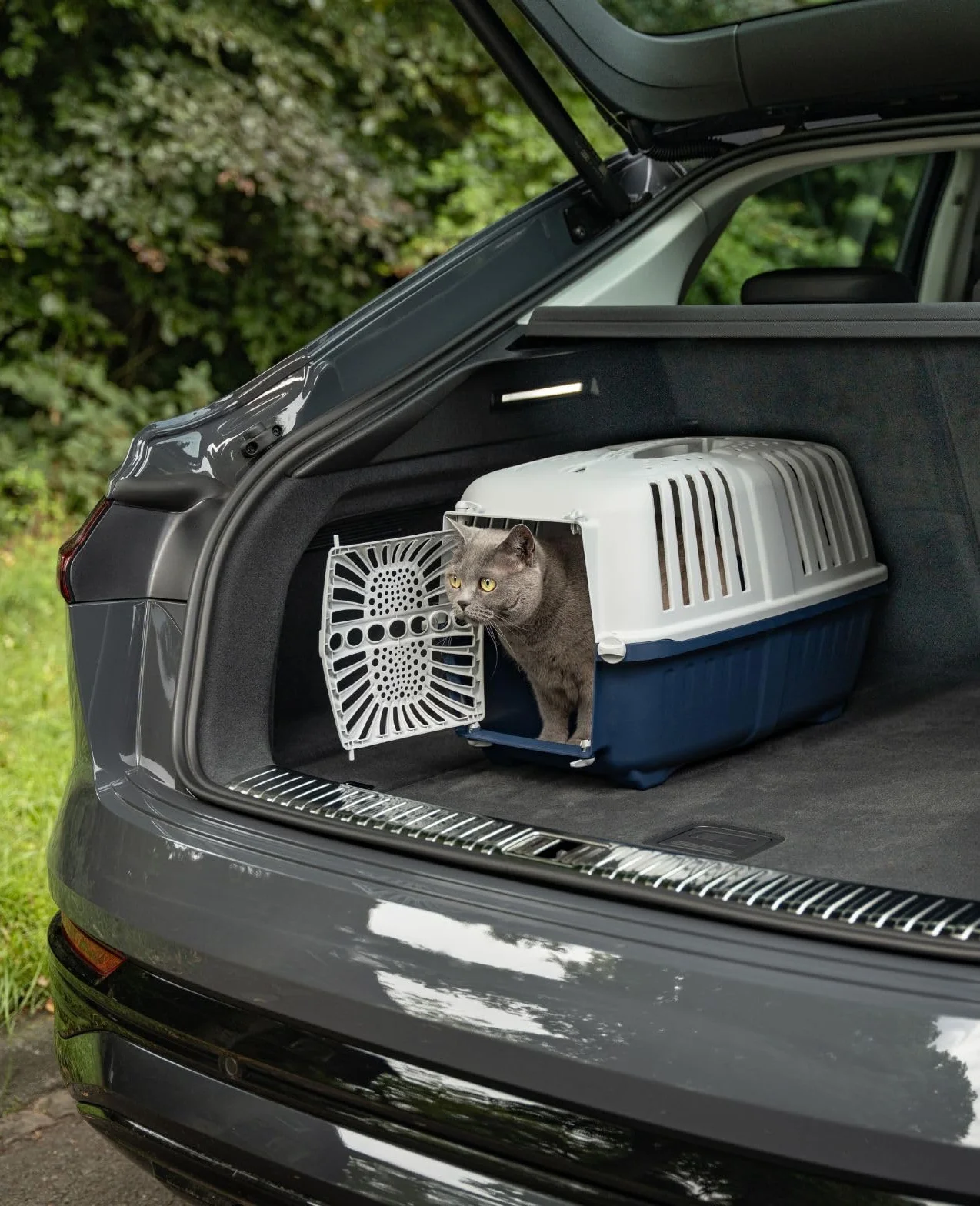 lionto Transporter dla psa z wytrzymałego recyklingowego tworzywa sztucznego, 55x36x36 cm, z zamknięciem i uchwytem, idealny także dla kotów i małych zwierząt, do 15 kg, niebieski