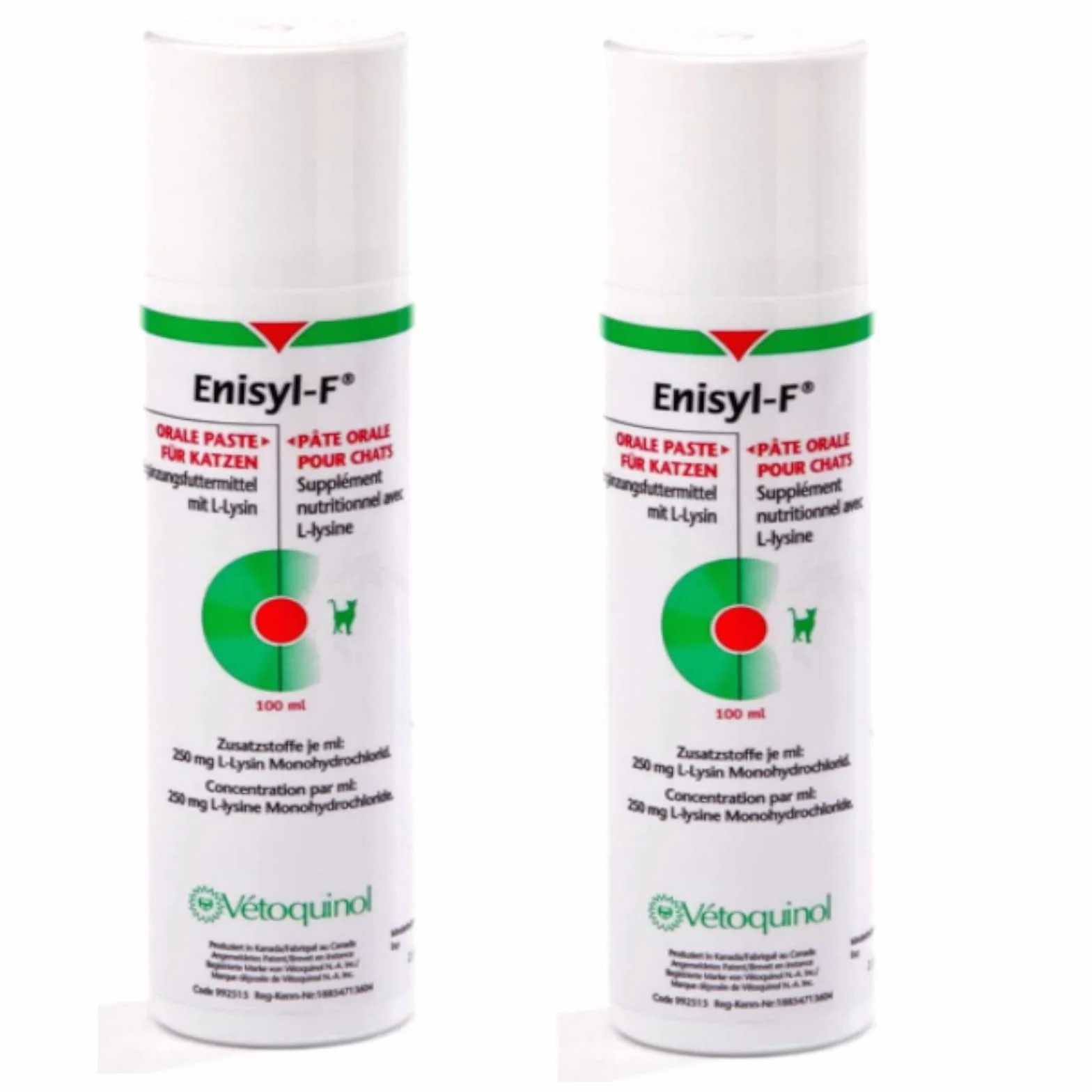 Vetoquinol Enisyl-F pasta - dwupak - 2 x 100 ml butelka z pompką