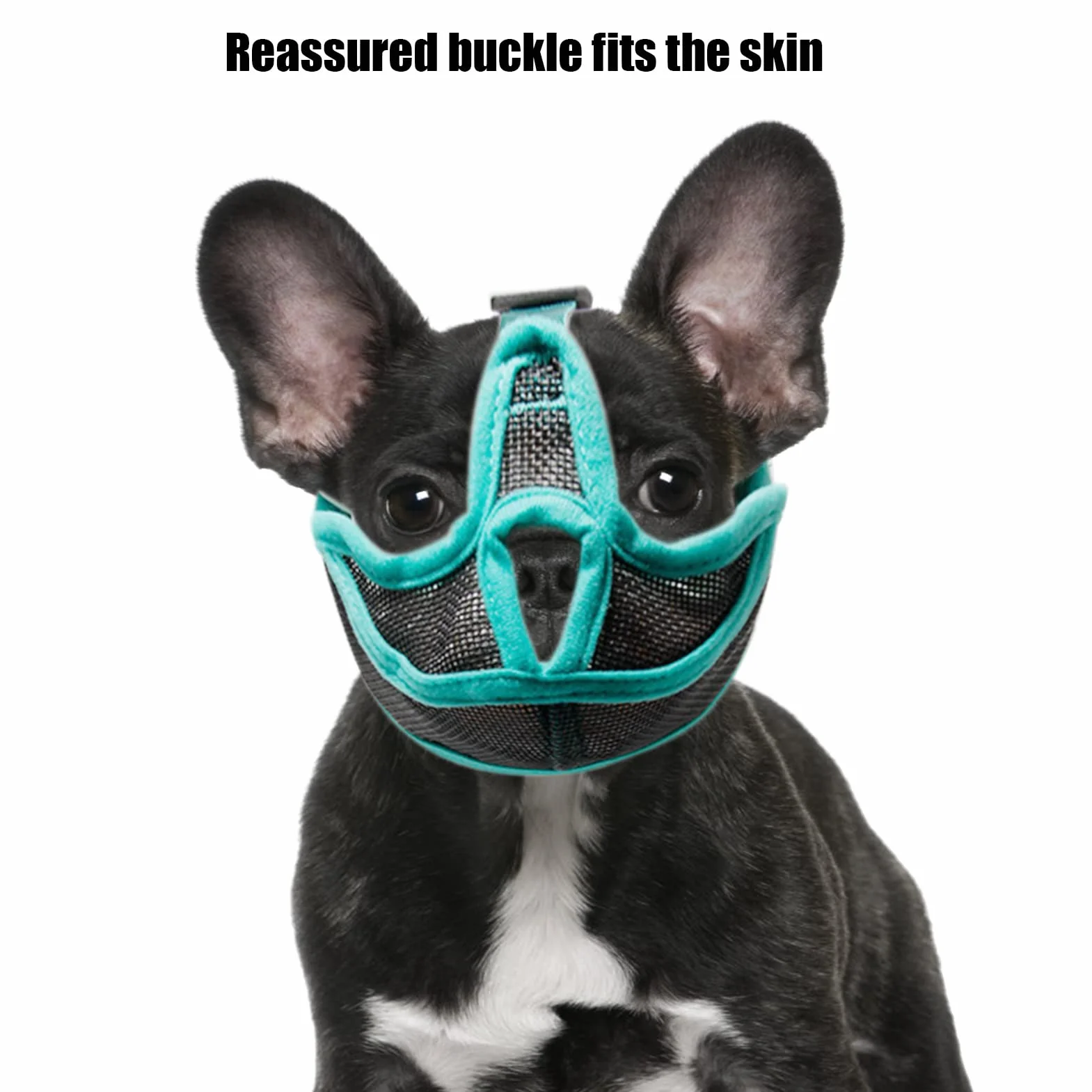 Kaganiec dla Psa z Krótkim Pyskiem - Oddychający Siatkowy, Zapobiegający Gryzieniu, Żuciu i Lizaniu - Płaski dla Buldoga Francuskiego, Shih Tzu i Mopsa (S)