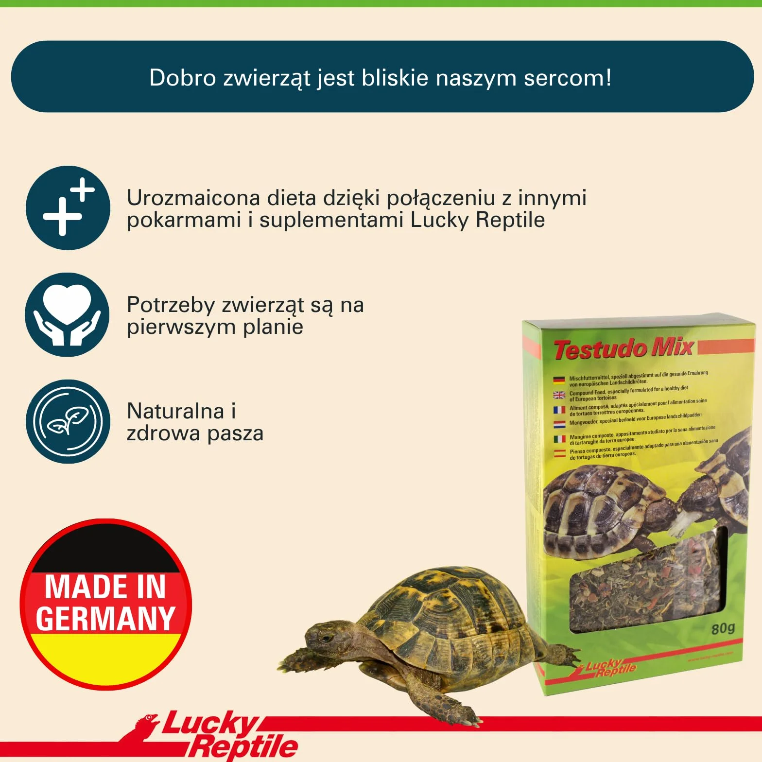 Lucky Reptile Testudo Mix 80g - Pokarm dla żółwi lądowych z suszonymi kwiatami i ziołami - Pokarm dla żółwi z dużą ilością błonnika i minerałów - Karma dla europejskich żółwi lądowych
