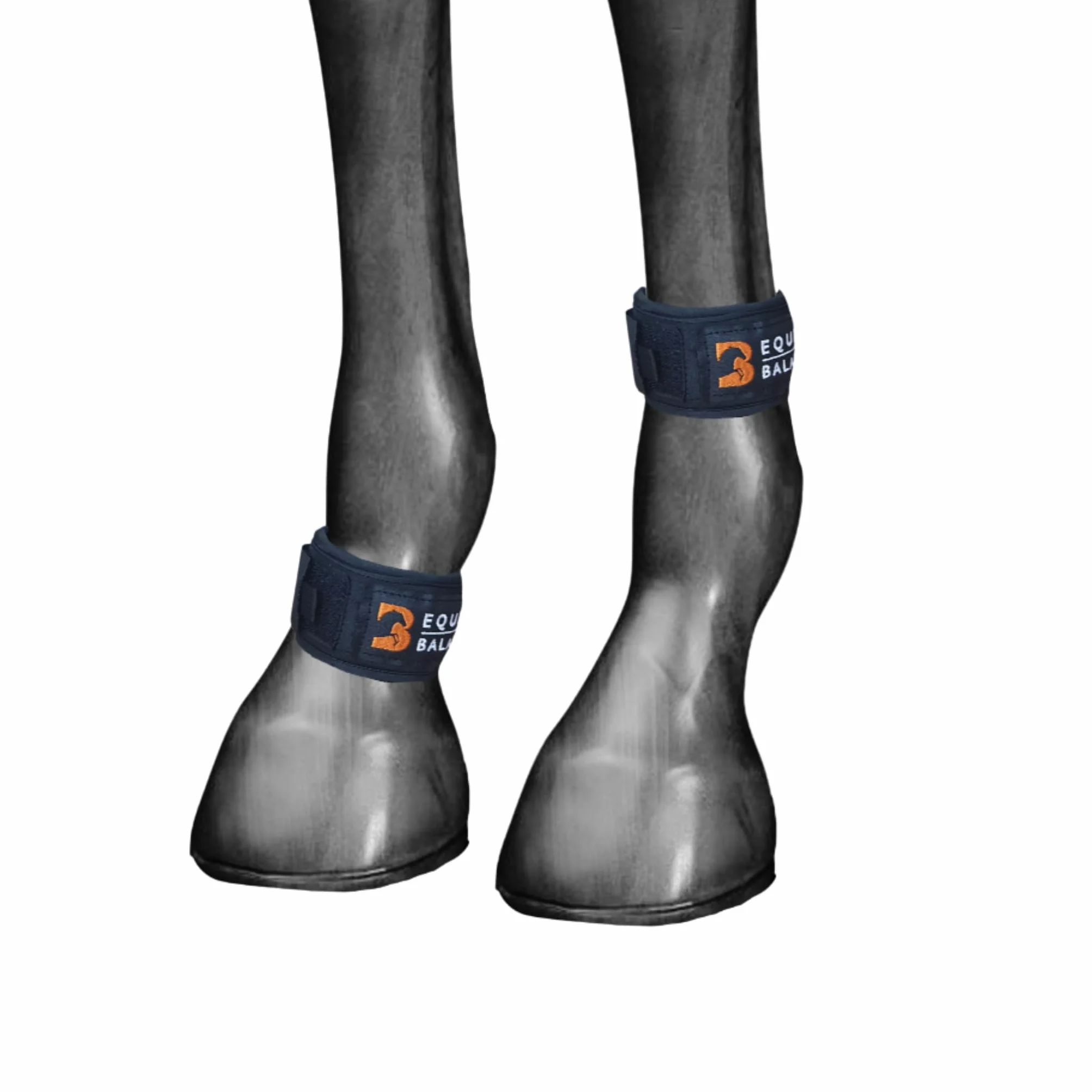 Magnetyczne opaski na nogi dla koni. Terapia magnetyczna Equine Balance Pastern Wraps dla koni i kucyków. Magnesy neodymowe do kopyt, fetlocka, kolan i stawu skokowego (szerokie)