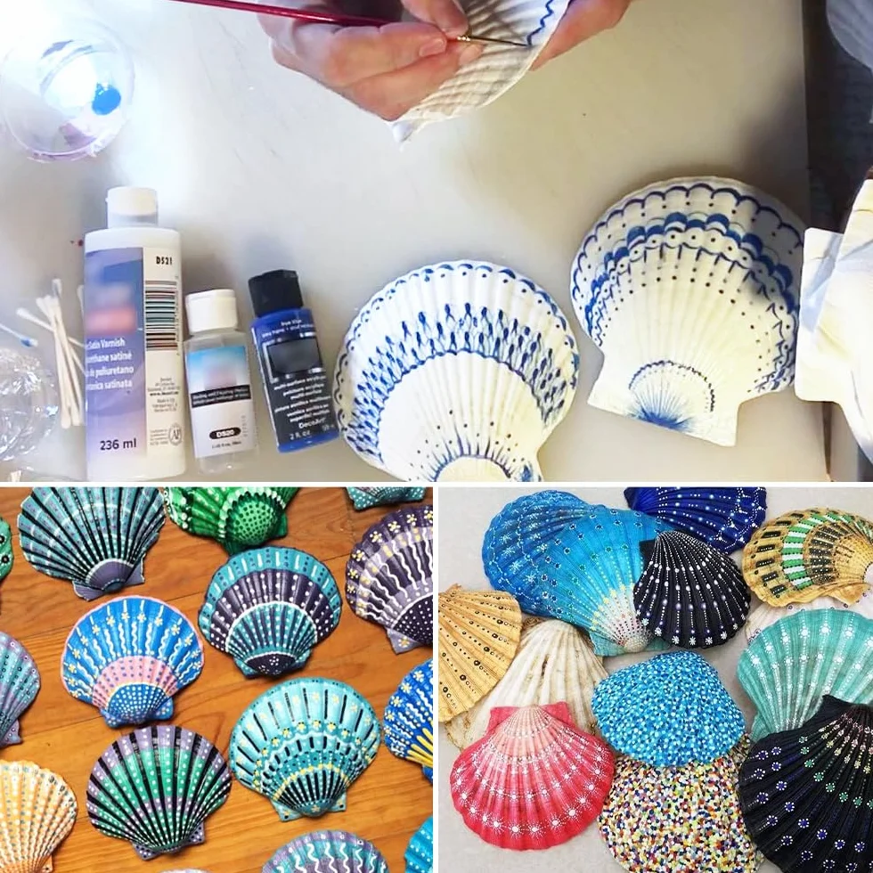 12 białych muszelek, 9-10 cm, duże muszle, muszle, naturalne muszle, do rzemiosła DIY, dekoracja kuchni, dekoracja przekąsek, dekoracja akwarium, na plażę