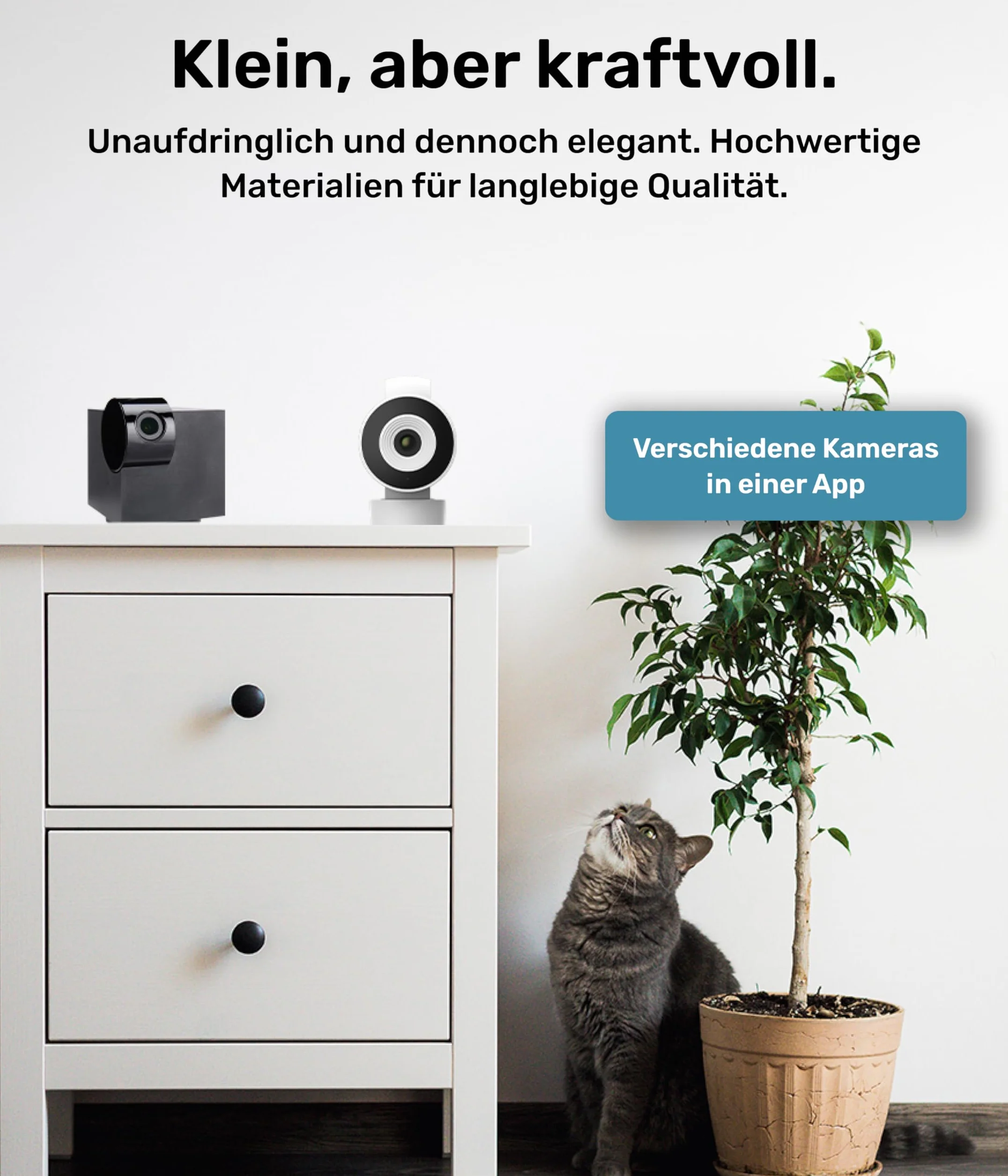 PetTec Cam 360° Dog Camera z aplikacją, WiFi, funkcją głosową i noktowizją do domu - Pet Security Camera Full HD - Kamera dla zwierząt domowych dla psów i kotów, kamera dla zwierząt domowych
