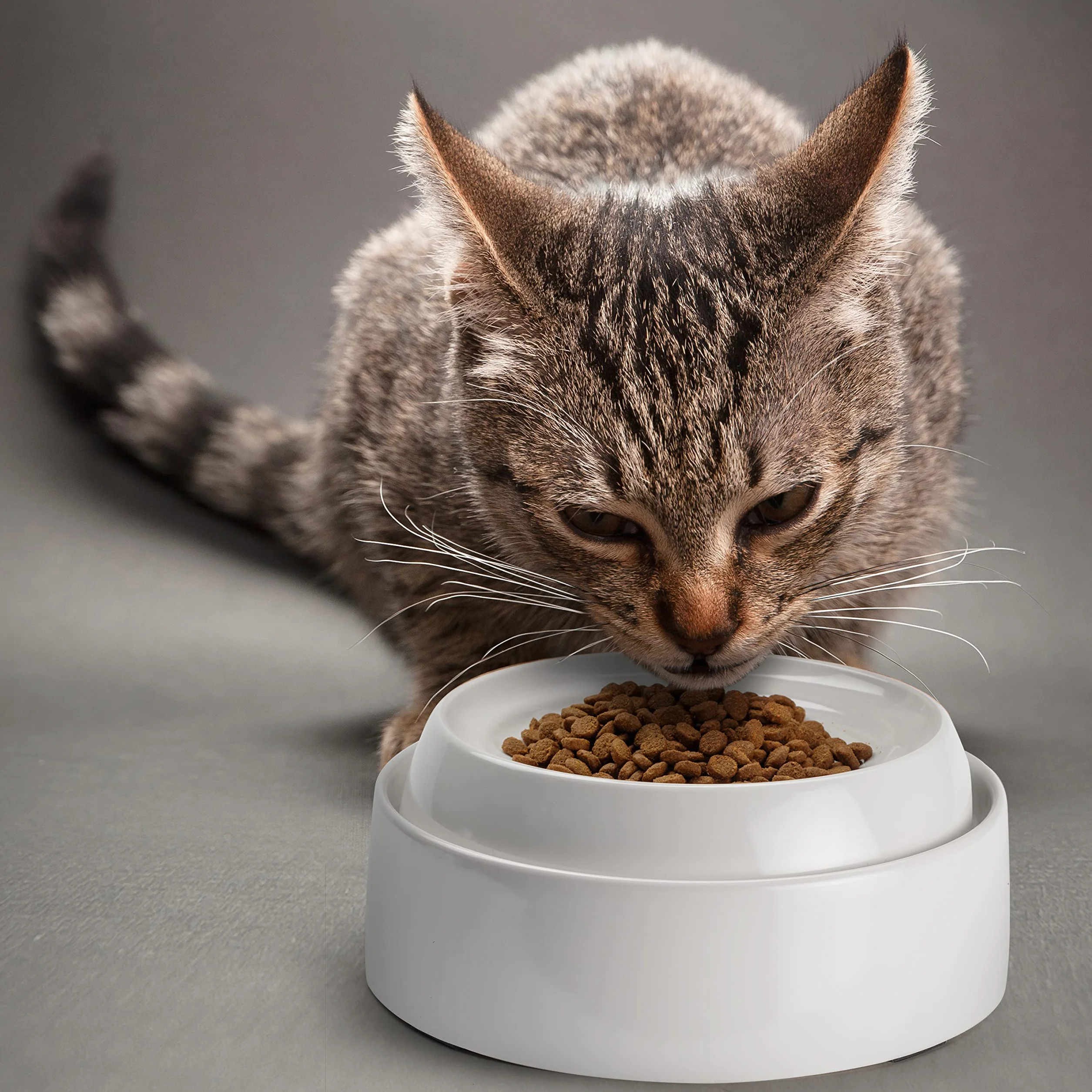 CatGuru Miski dla Kotów - Bez Stresu, Łagodzi Zmęczenie Wąsów, Szeroka, Antypoślizgowa, Płytka Miska na Karmę