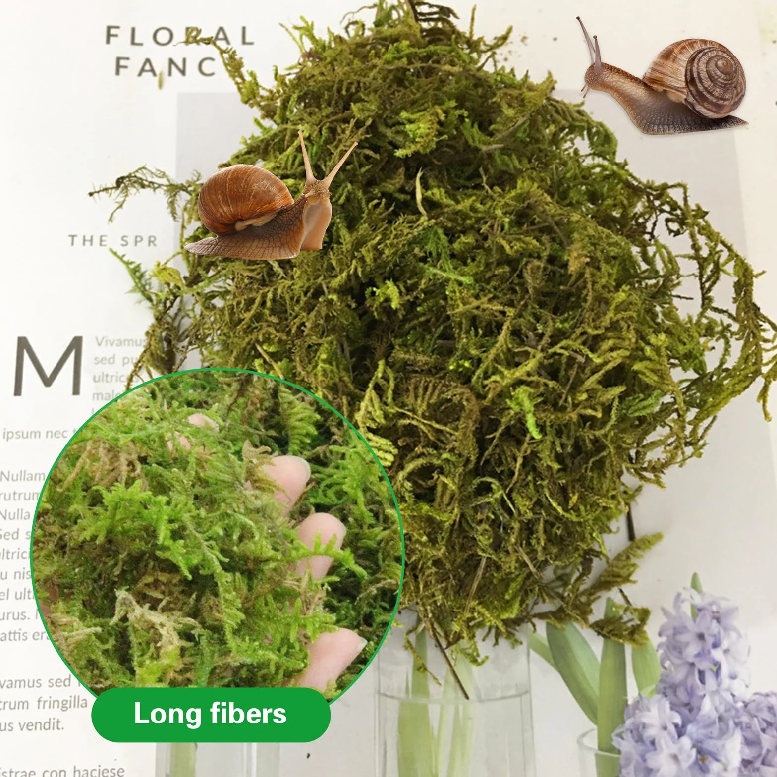 Naturalny mech premium dla gadów, zielony mech, mata mchowa, dekoracja do terrarium, ślimaków, żab, pustelników, żółwi
