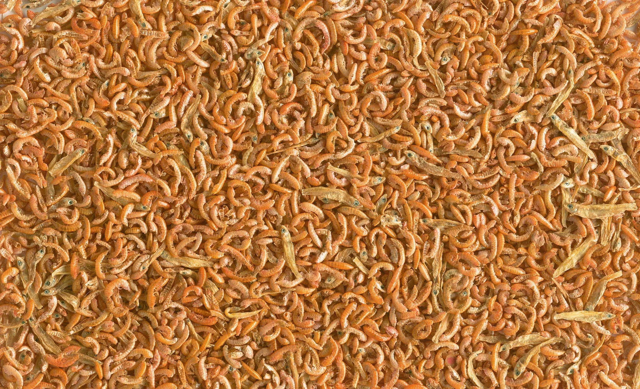 Tetra Gammarus Mix 1 l