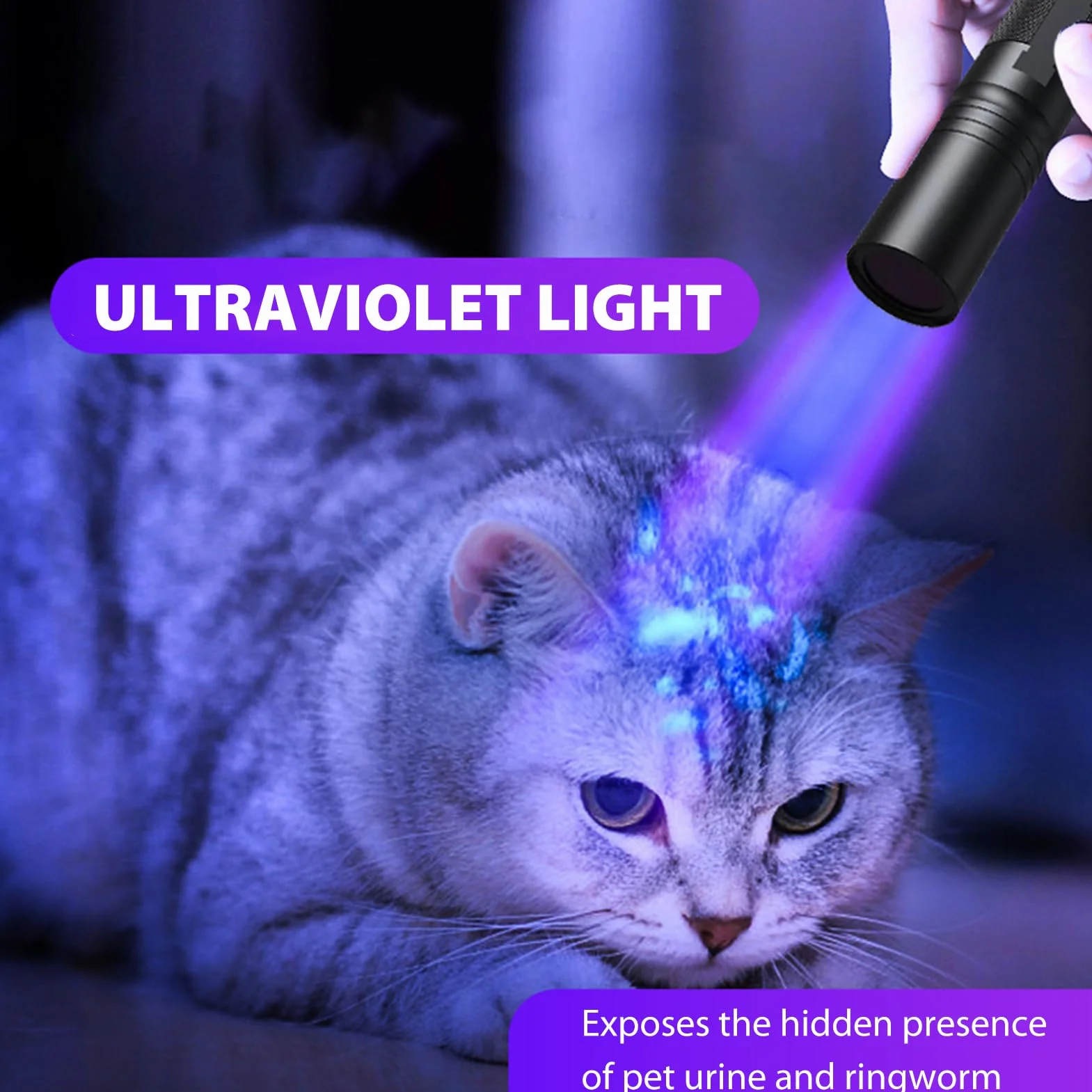 Światło UV 365 nm, 20 W, przenośna lampa drewniana, ładowalna, mini ręczna latarka UV na mocz psa, plamy dla zwierząt domowych, utwardzanie żywicą, środek fluorescencyjny