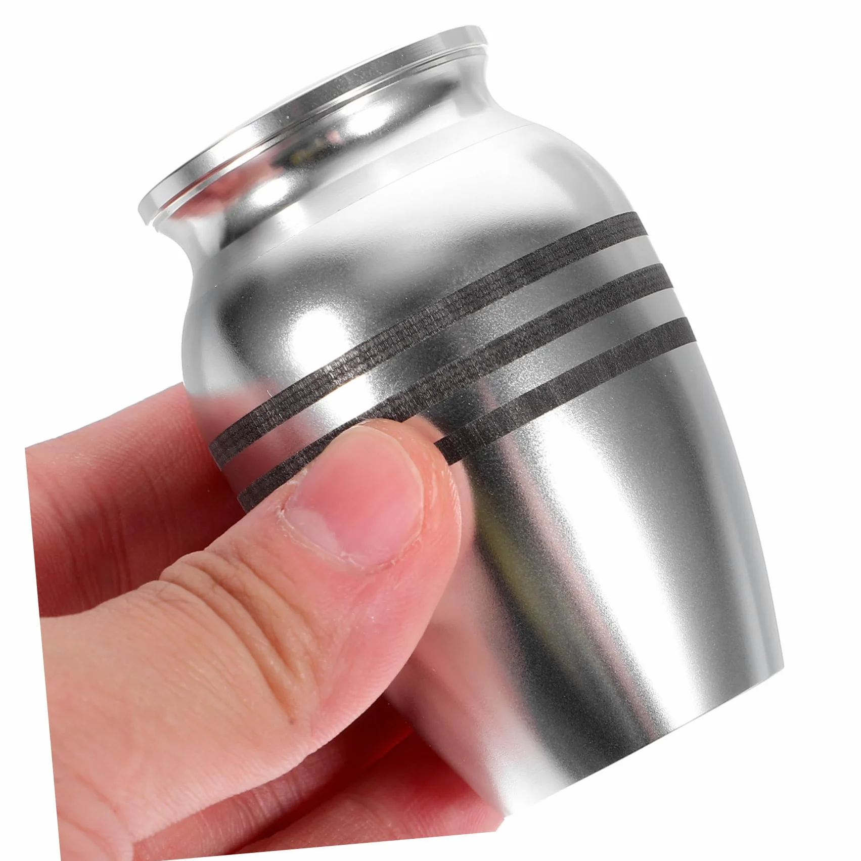 Pet Urn for Dogs and Cats Keepsake Ashes Container Stylish and Alloy Cinerary Casket for Pet Memorials
