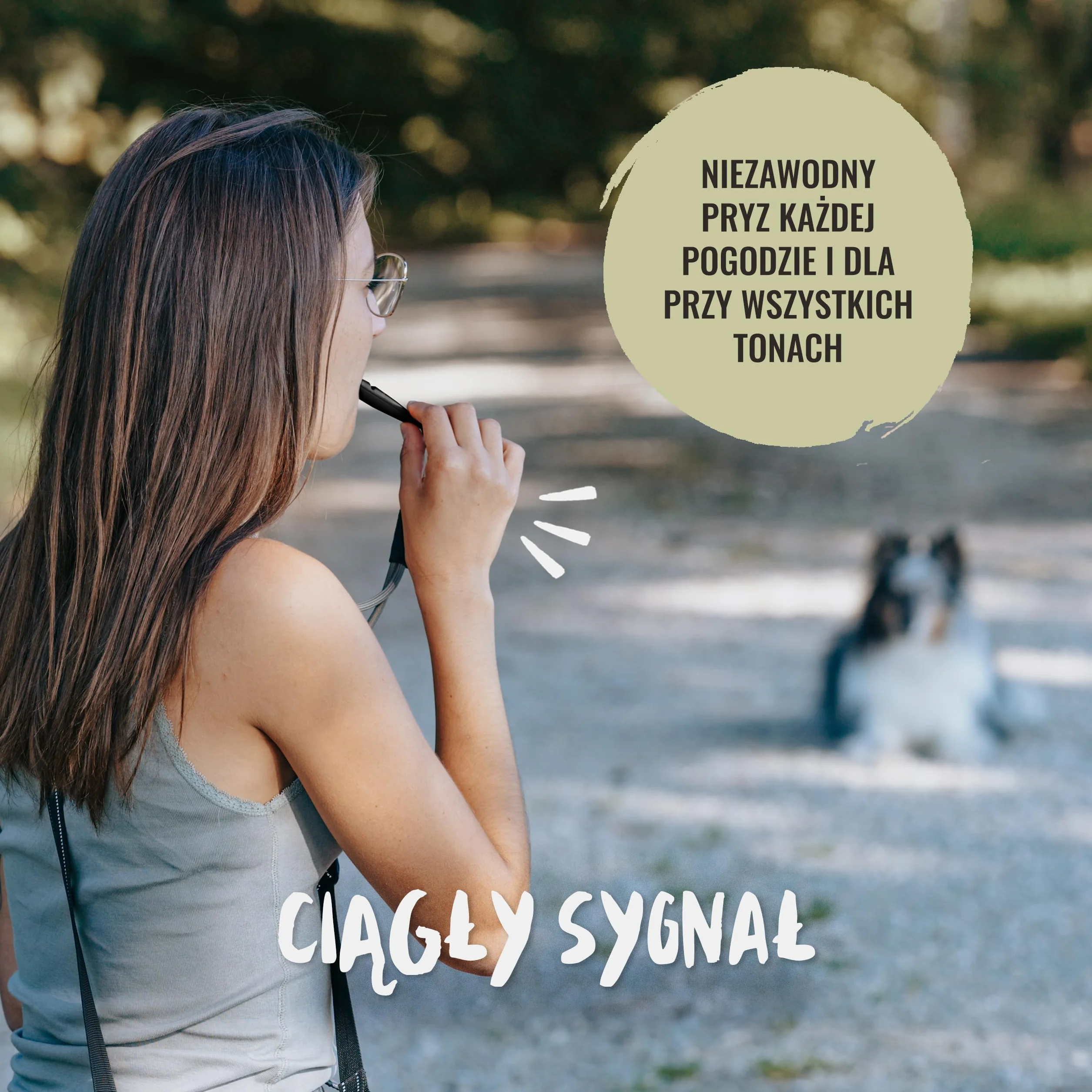 Rudelkönig Gwizdek dla psa z paskiem gwizdkowym treningowy standardowej częstotliwości