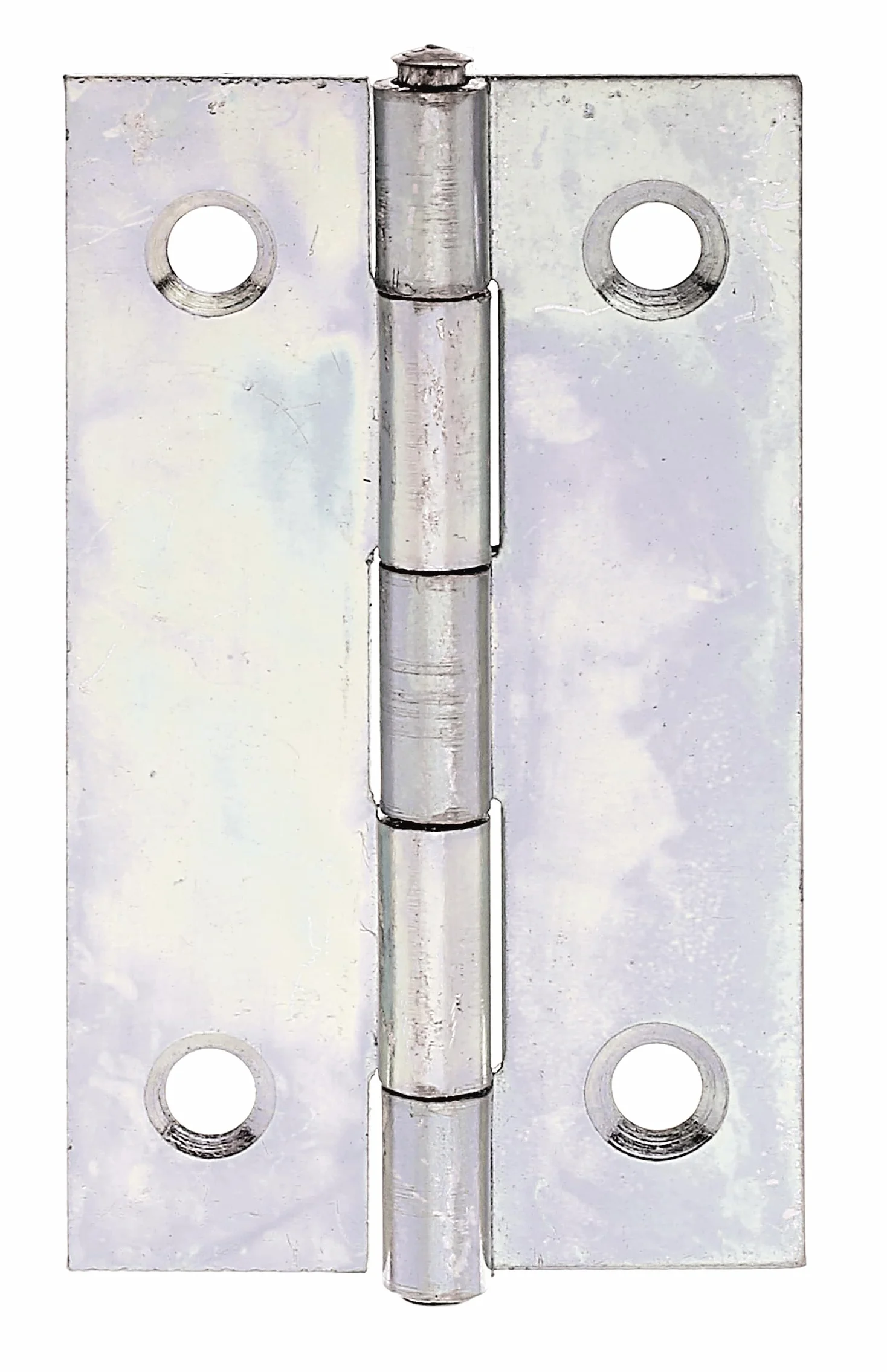 Alberts 345389 Zawias | wąski | ocynkowana metodą Sendzimira | 51 x 30 mm