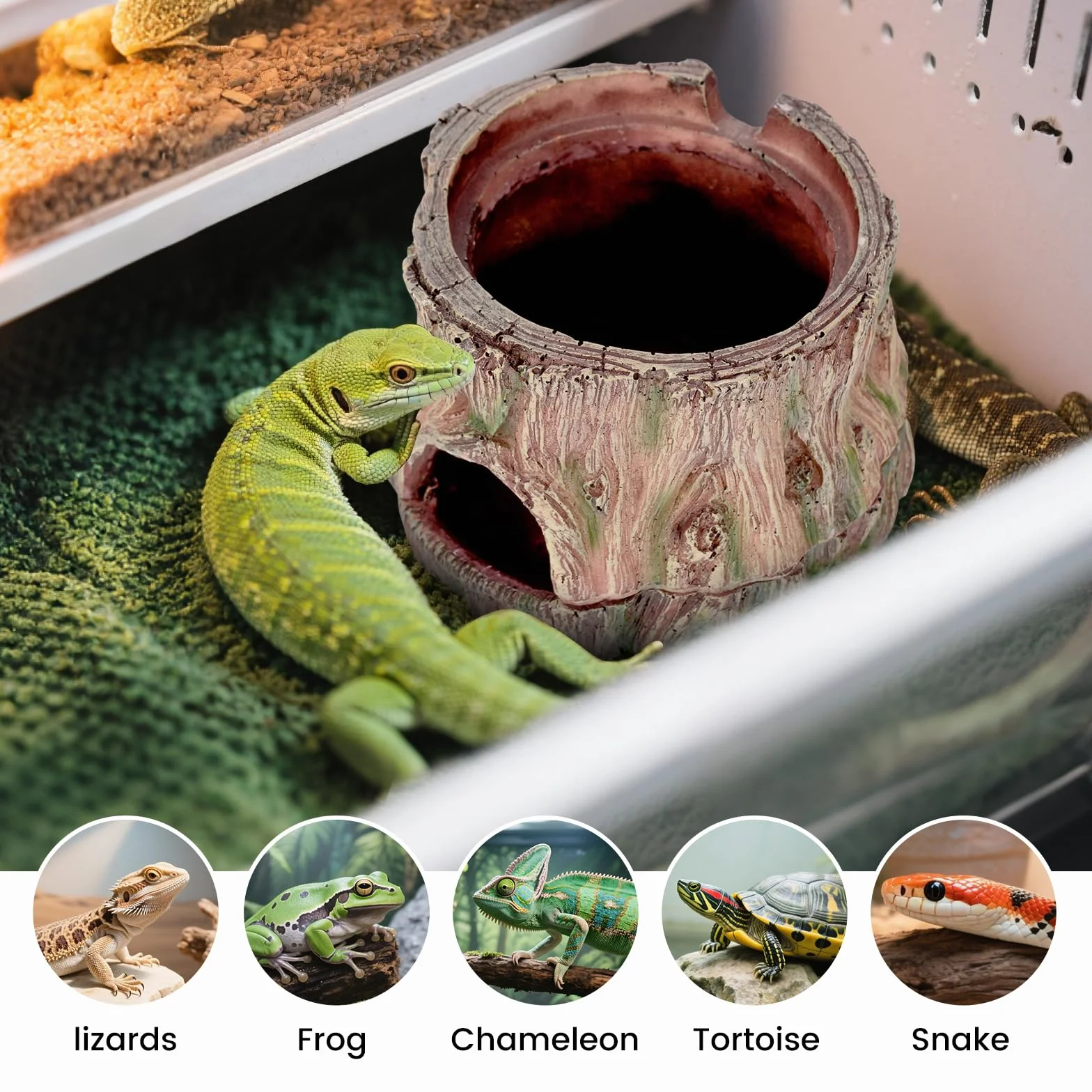 Wetbox 3 w 1 Terrarium Kryjówka Repti Schronienie dla Gekona Węża Żółwia Jaszczurki