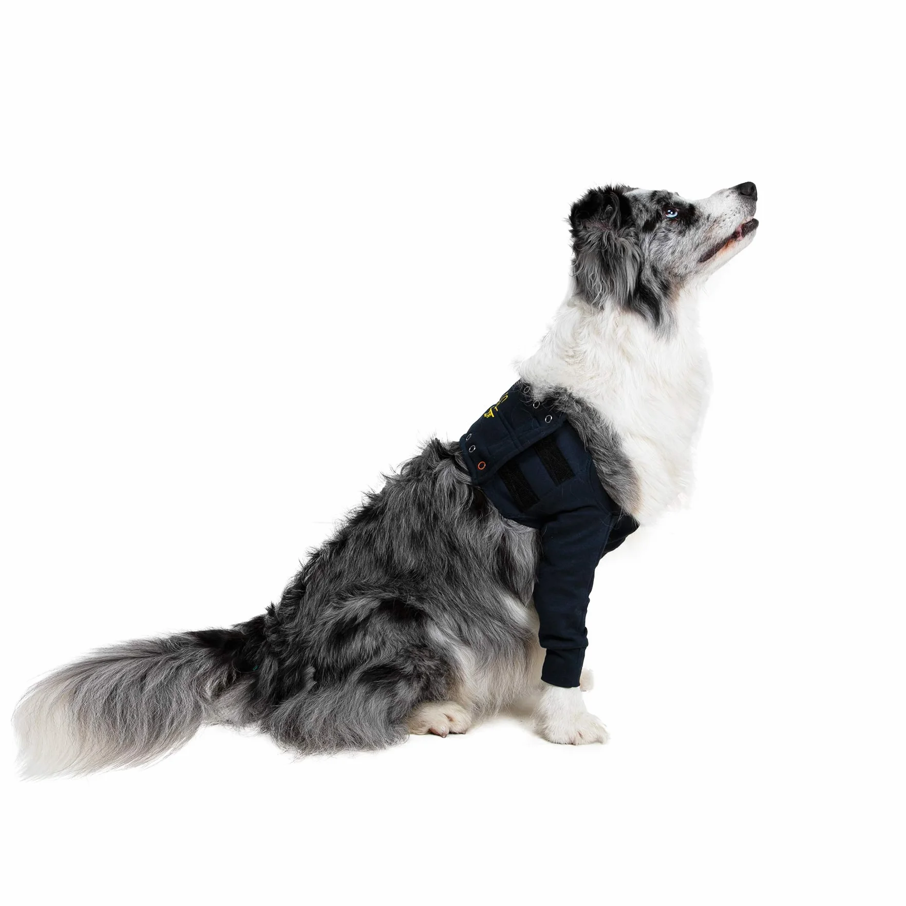 MPS Medical Pet Shirt Taz2 Podwójny rękaw na nogi dla psa M
