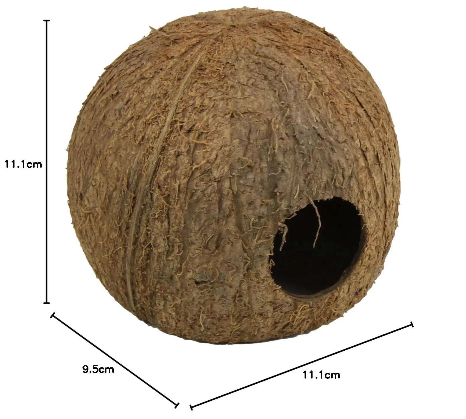 JBL 61512 miska z orzecha kokosowego jako jaskinia do akwariów i terrariów Cocos Cava 3/4 l