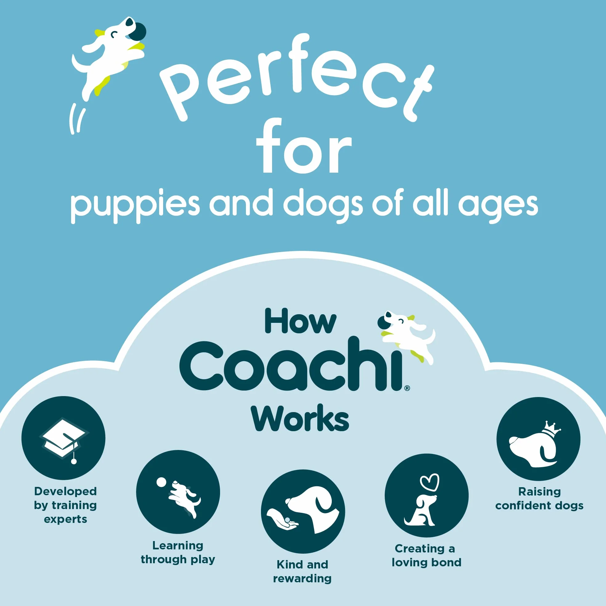 Coachi Toilet Training Bells, Suitable for Puppy or Newly Acquired Dog, House Training, Stop Door Scratching, Easy to Use, Adjustable Height. Dog Accessory, Great for Clicker Training. Easy to Hear.