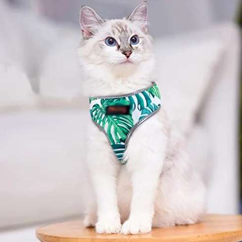 Oddychająca kamizelka z nadrukiem Odblaskowa kamizelka dla psa Puppy Małe i średnie kamizelki dla psa Walking Pet Accessories