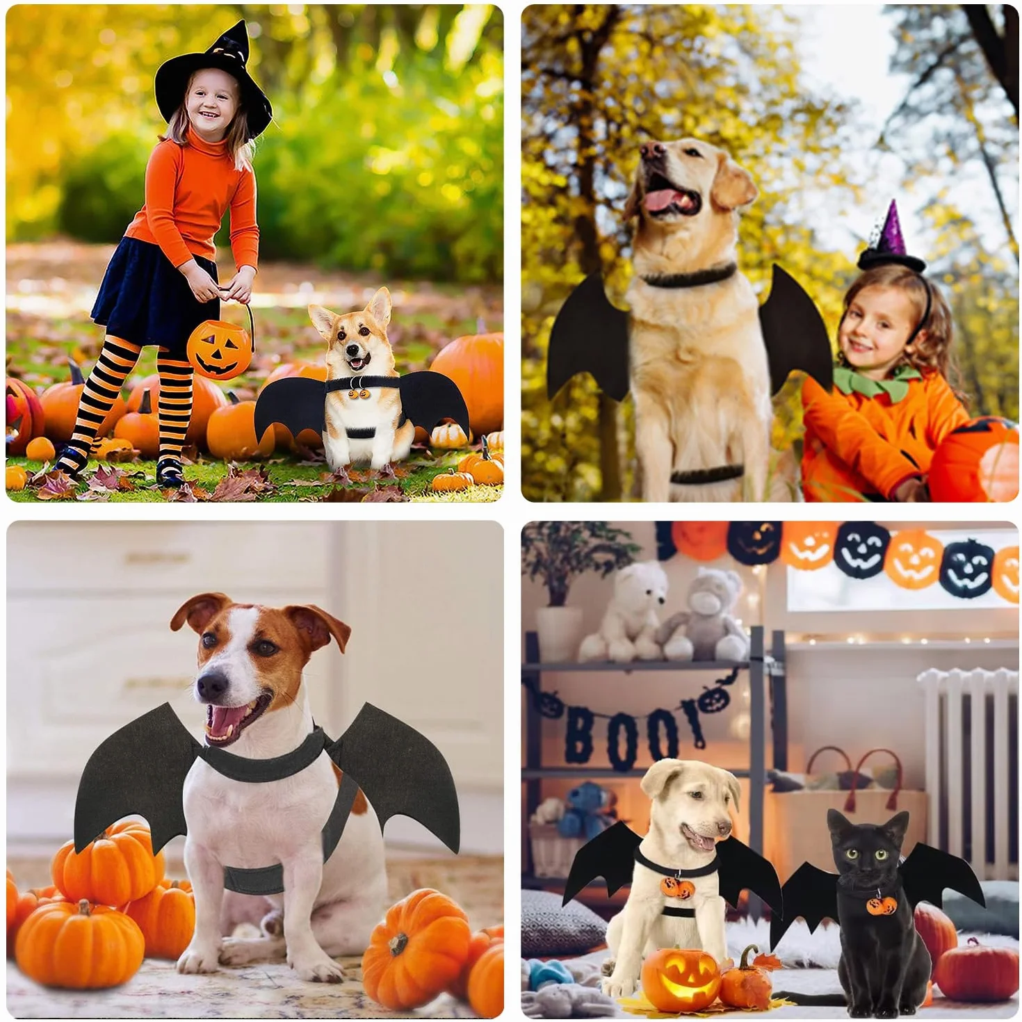 Kostium Psa na Halloween - Skrzydła Nietoperza dla Małego Psa (Czarny)