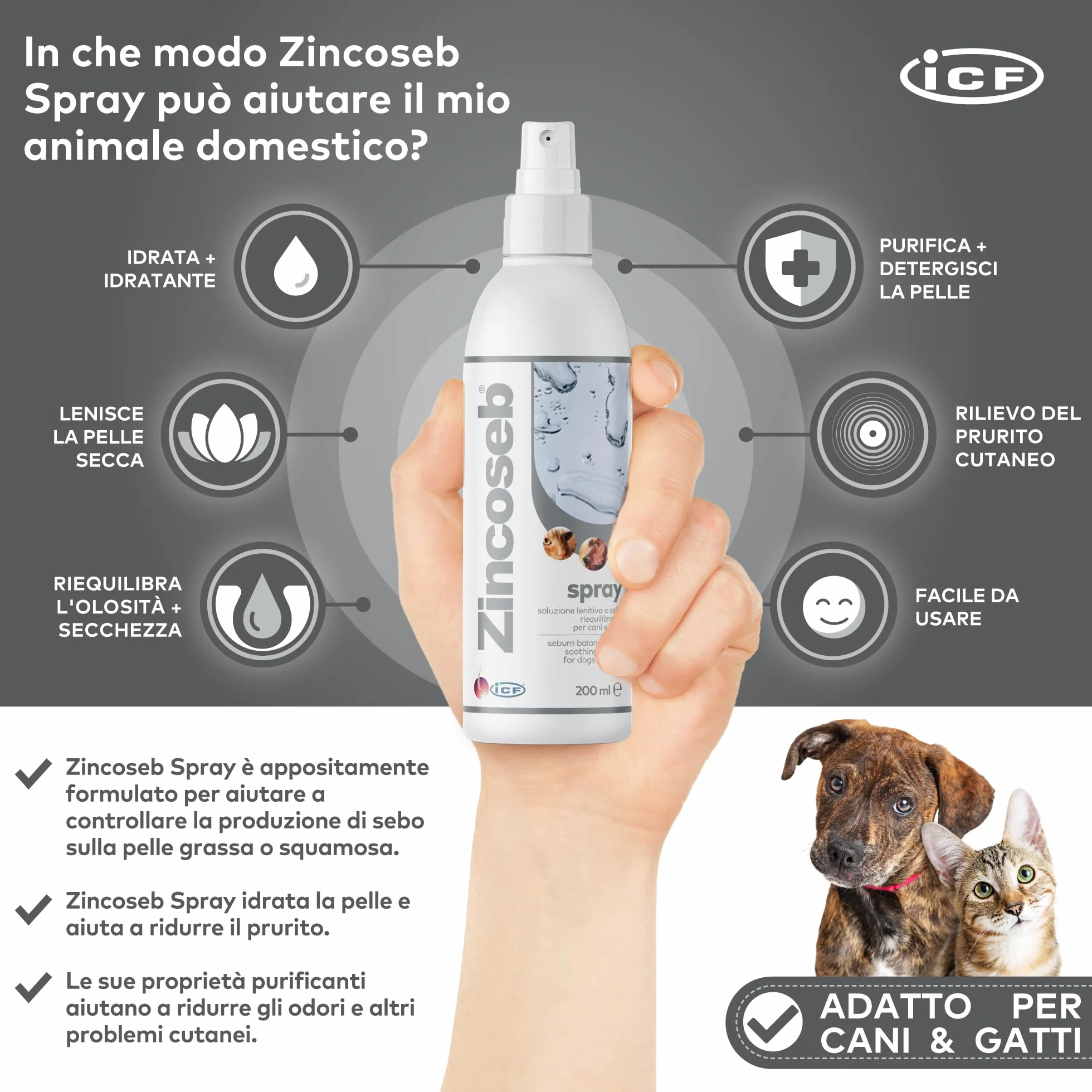 Geulincx Zincoseb Spray 200 ml ICF