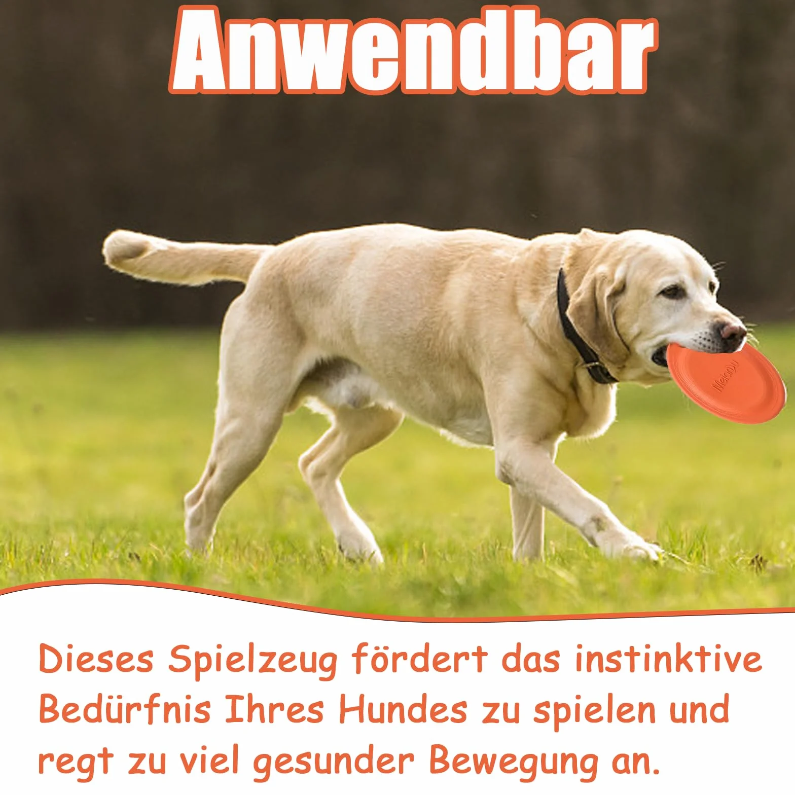 Pomarańczowa wytrzymała zabawka dla psa, frisbee, zabawka dla zwierząt domowych, frisbee, pies frisbee, fitness, letni trening dla zwierząt domowych, dla średnich i małych psów