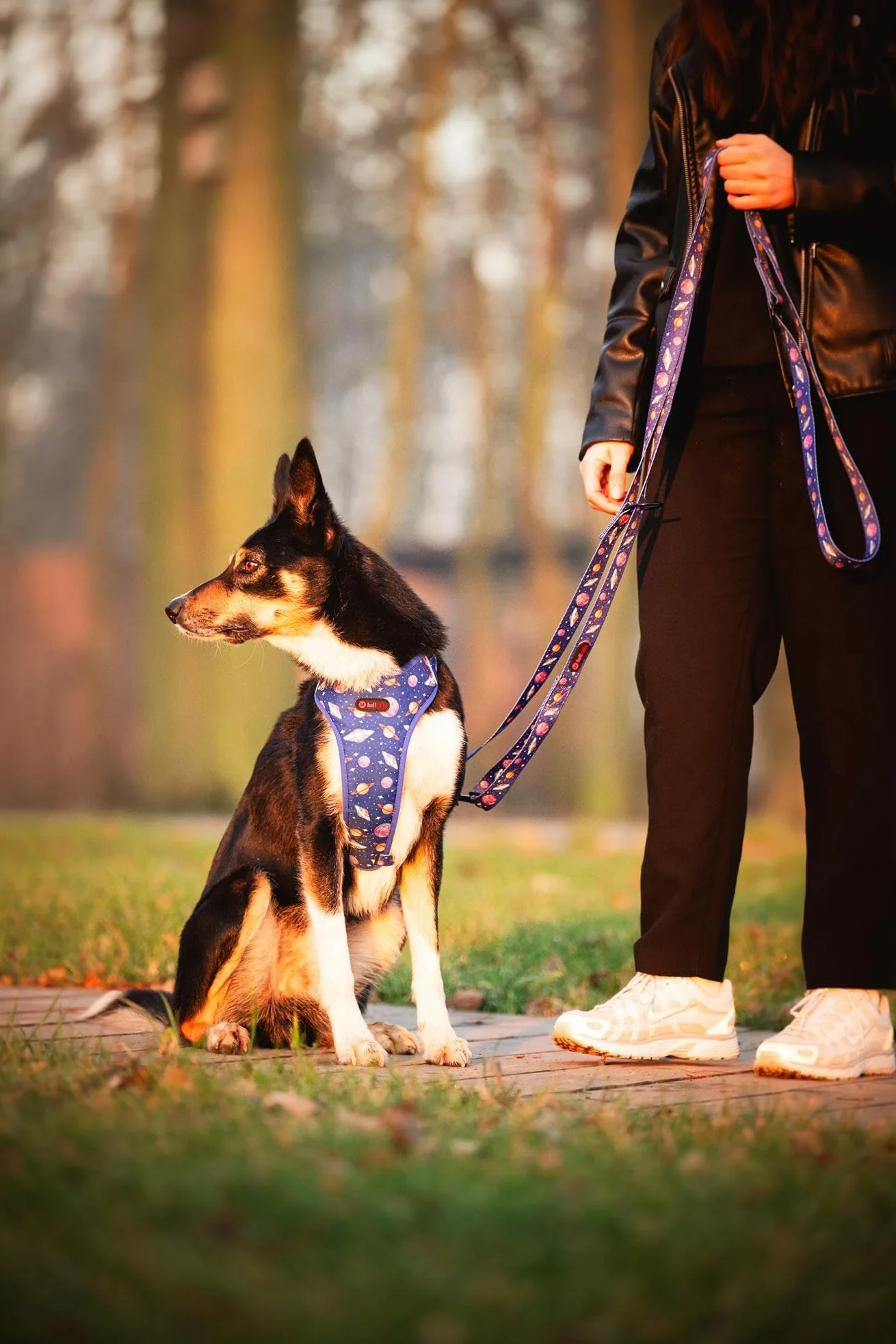 Smycz dla Dużego Psa Przepinana 1.6-3M | NO ABSORB | Szerokość 2.5cm | Regulowana | Spacer z dwoma psami jednocześnie | Obrotowe karabińczyki | 2 Możliwości noszenia | Cosmic Bloom - L