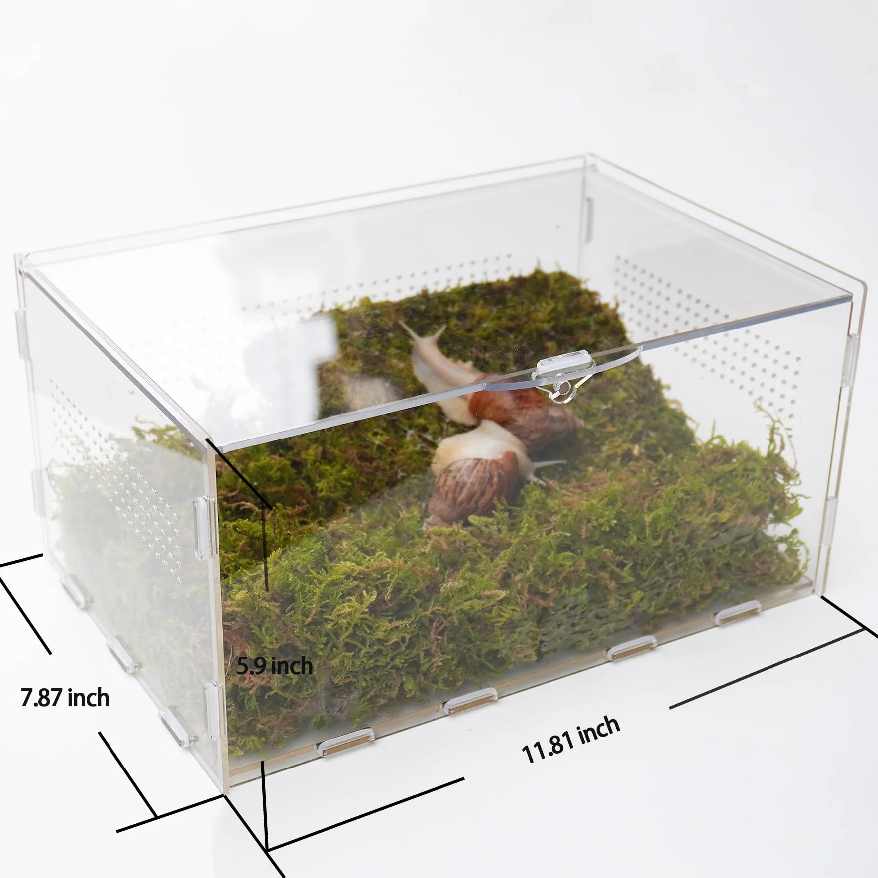 Zestaw terrarium dla zwierząt domowych ze ślimakiem o wymiarach 28,5 x 20 x 15 cm terrarium ze ślimakiem i ścianą wspinaczkową 18 cm