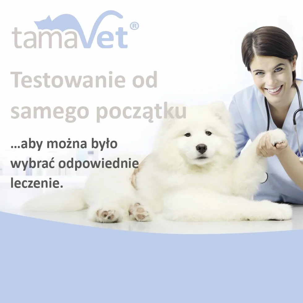 Multi 2TD Szybki test Giardia i Cryptosporidium parvum – 5 testów do wykrywania giardii i kryptosporidium u psów i kotów