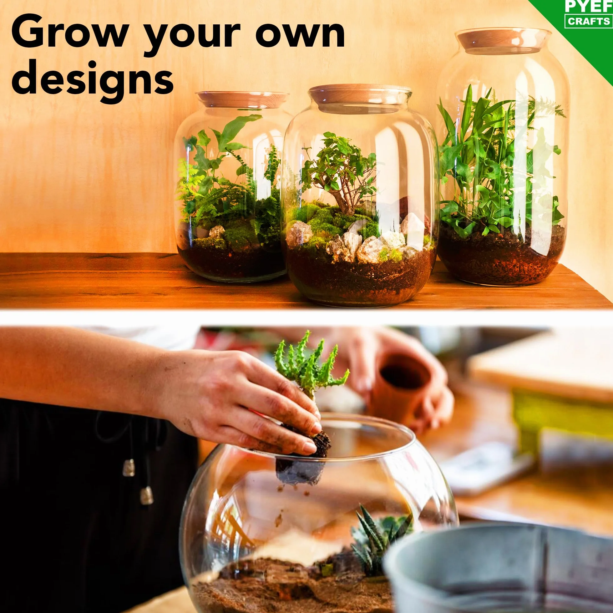 Zestaw do terrarium DIY dla roślin, zestaw startowy do ogrodu w butelce, samowystarczalny ekosystem - materiały dla sukulentów, roślin powietrznych, paproci - zestaw bez słoika (M), bez