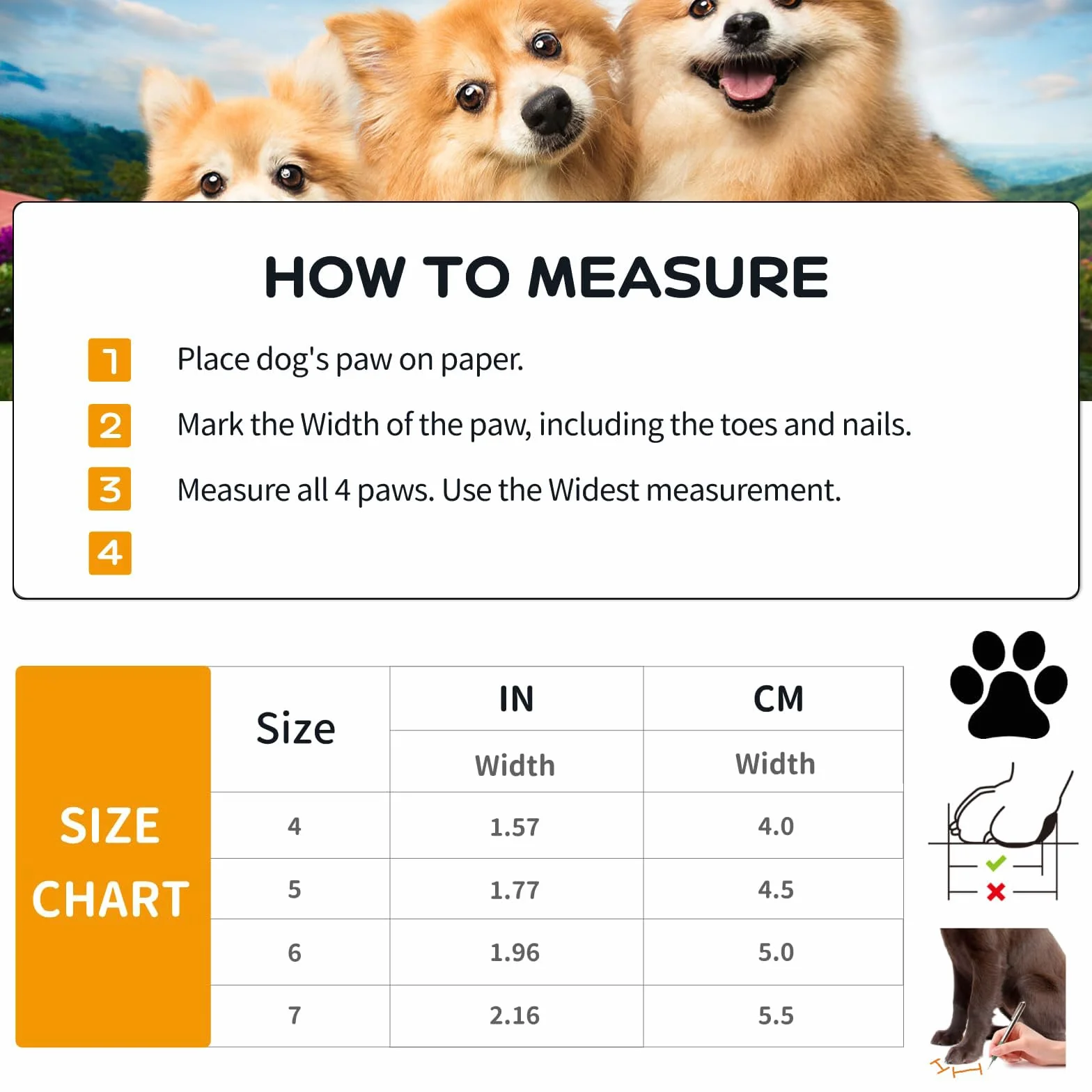 Paw Protector wodoodporne buty dla małych średnich psów 4 sztuki antypoślizgowe buty dla psów z odblaskowymi paskami dla psów