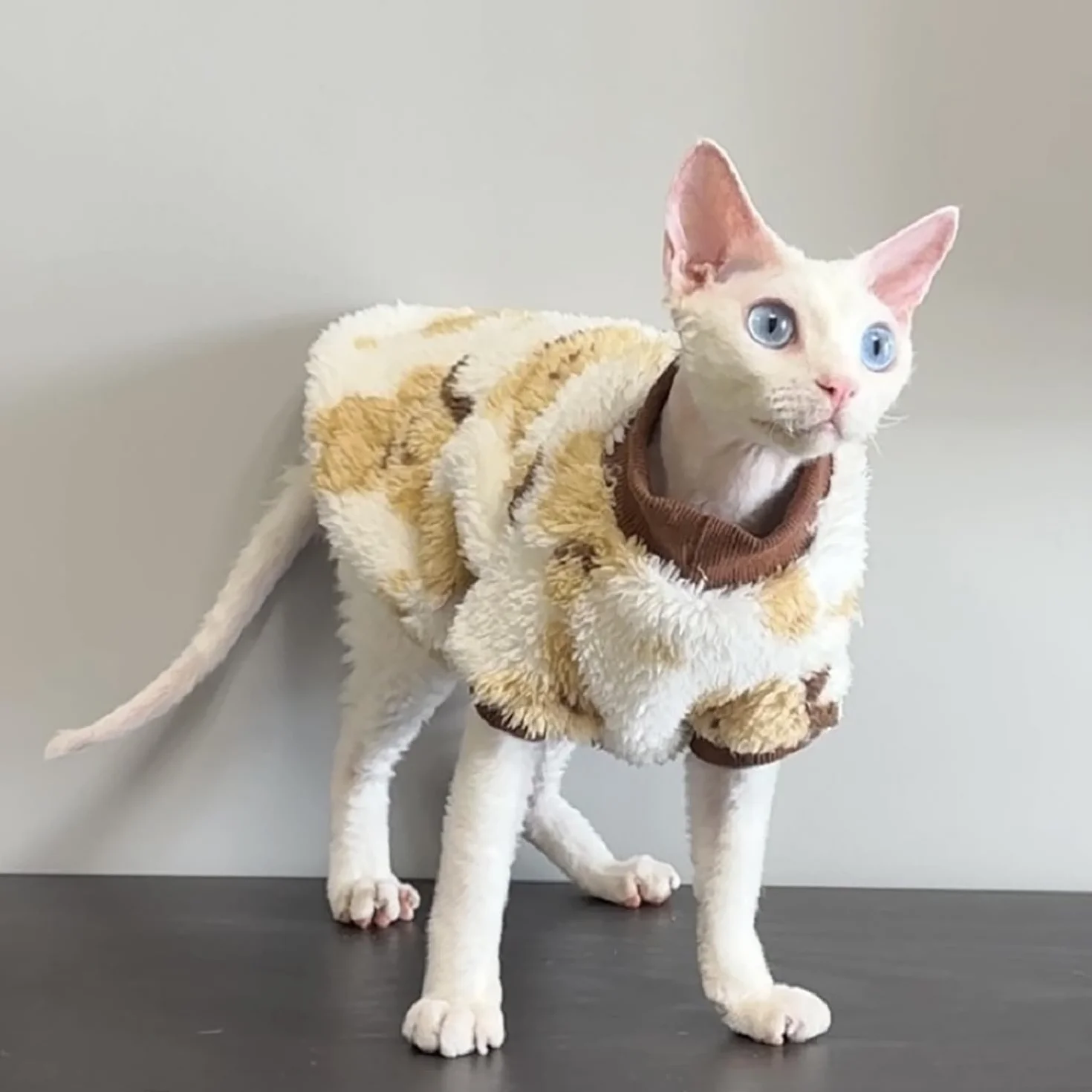 Ubranie dla kota bez włosów – sweter dla kota sweter dla kota, płaszcz, koszula dla kota, bawełna, ciepły sphynx, nadaje się do utrzymywania ciepła, ochrona przed zimnem, jasne i piękne
