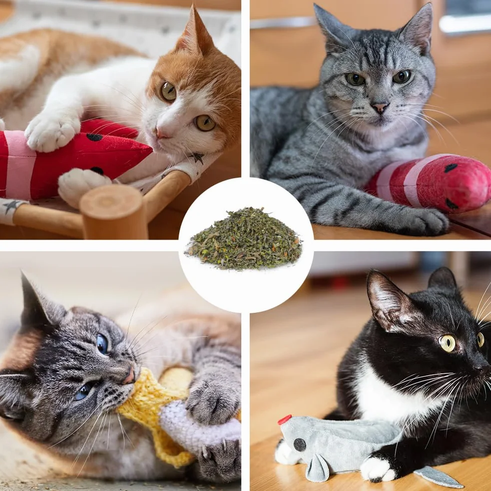 OSDUE Pąki kocimiętki, suszona kocimiętka premium, naturalna kocimiętka dla kotów, idealna do zabawek dla kotów, drapaków i nie tylko, 100 g
