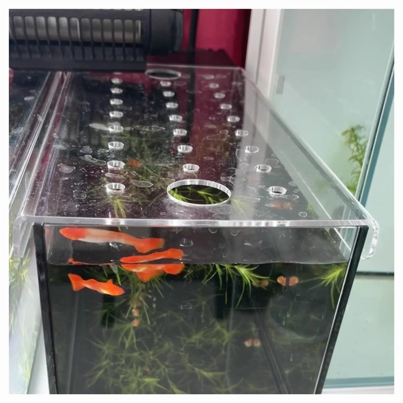Akrylowa pokrywa akwarium z otworem na świeże powietrze, kaptur terrarium, odporna na skakanie konstrukcja zapobiegająca łapaniu ryb przez koty, kompatybilna z różnymi rozmiarami terrariów