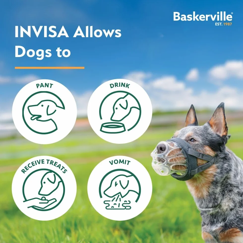 Baskerville INVISA Kaganiec koszykowy dla psa, opatentowany, ludzki design z widocznością twarzy, wyściełany pasek na nos, spodnie i picie, zapobiega gryzieniu i zmiataniu, kaganiec dla średnich psów
