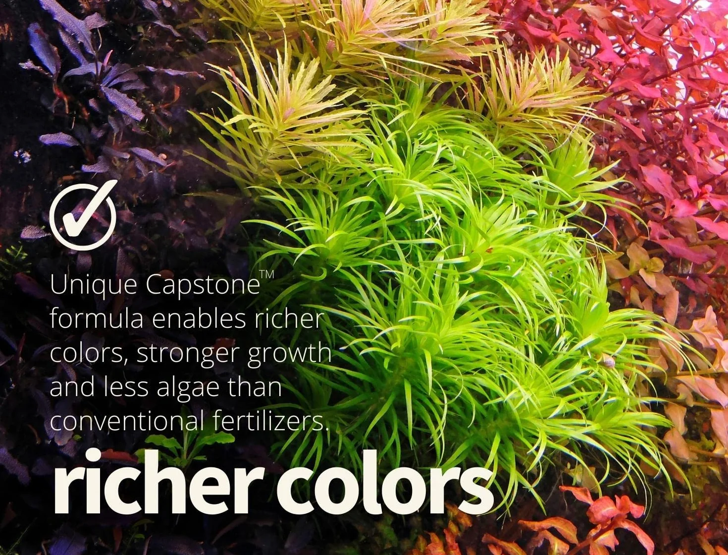 2Hr Aquarist Aquarium plant fertiliser nawóz do roślin akwariowych APT Estimative Index (300ml)