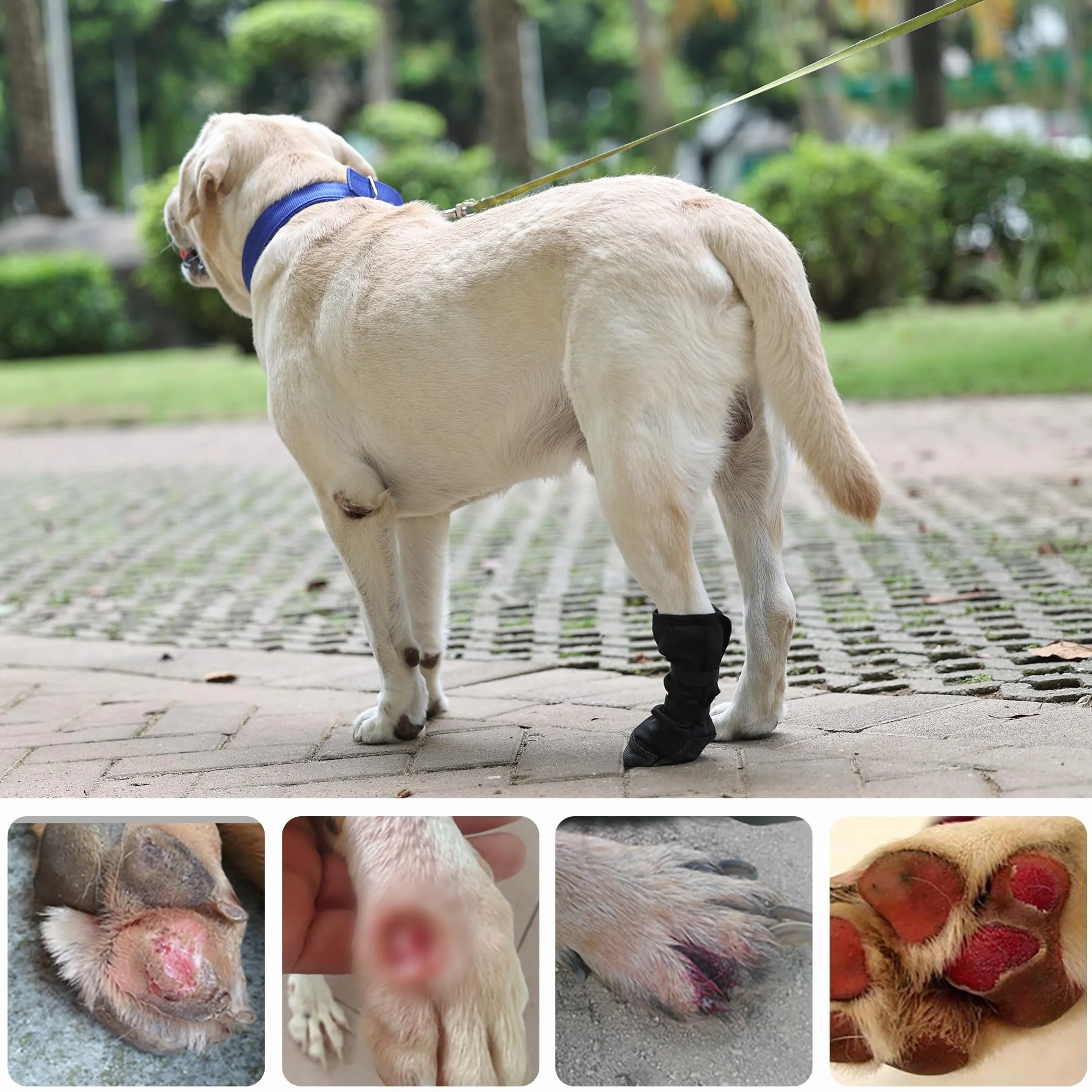 Buty PPGGOPP do regeneracji łap psa,Hundeschuhe zur Erholung,Ochrona łap psa,Zapobieganie lizaniu ran zwierząt domowych,Oddychające,Miękkie,Ochrona przed ugryzieniami,Wilgocią i Infekcjami,Zmywalne i