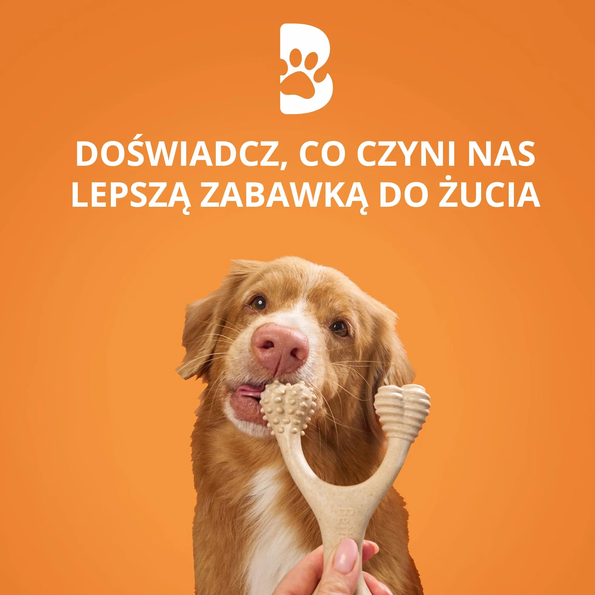 BetterBone - Zabawka dla psa do żucia – Small Hard Classic – wegańska kość do żucia dla psa, bez nylonu i GMO na bazie celulozy, bardzo twarda, neutralny smak, nie odpryskuje i hipoalergiczna