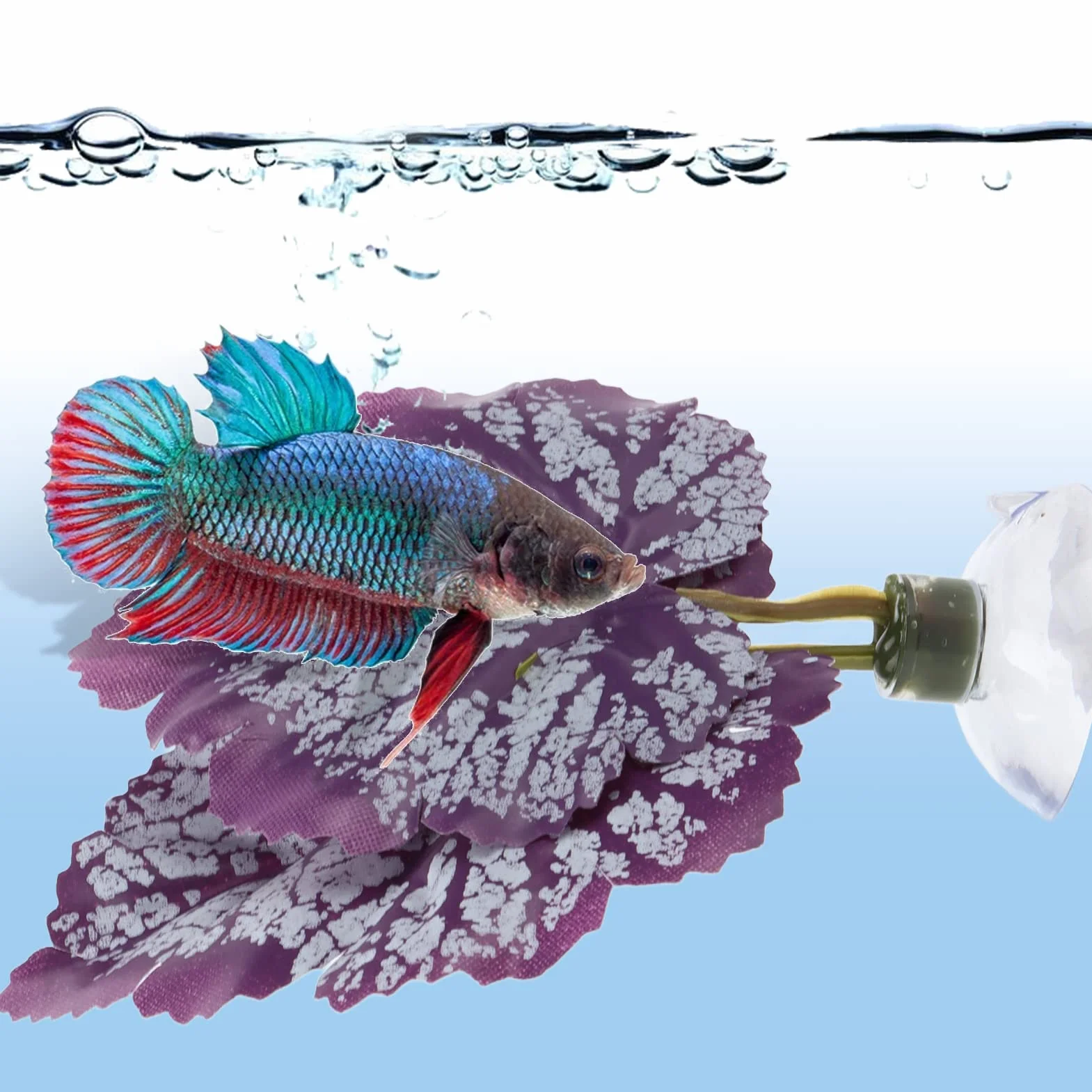 Betta Hammock, Betta Fish Leaf Pad Akspularne Akcesoria z Akcesoriów z Liści Plastik