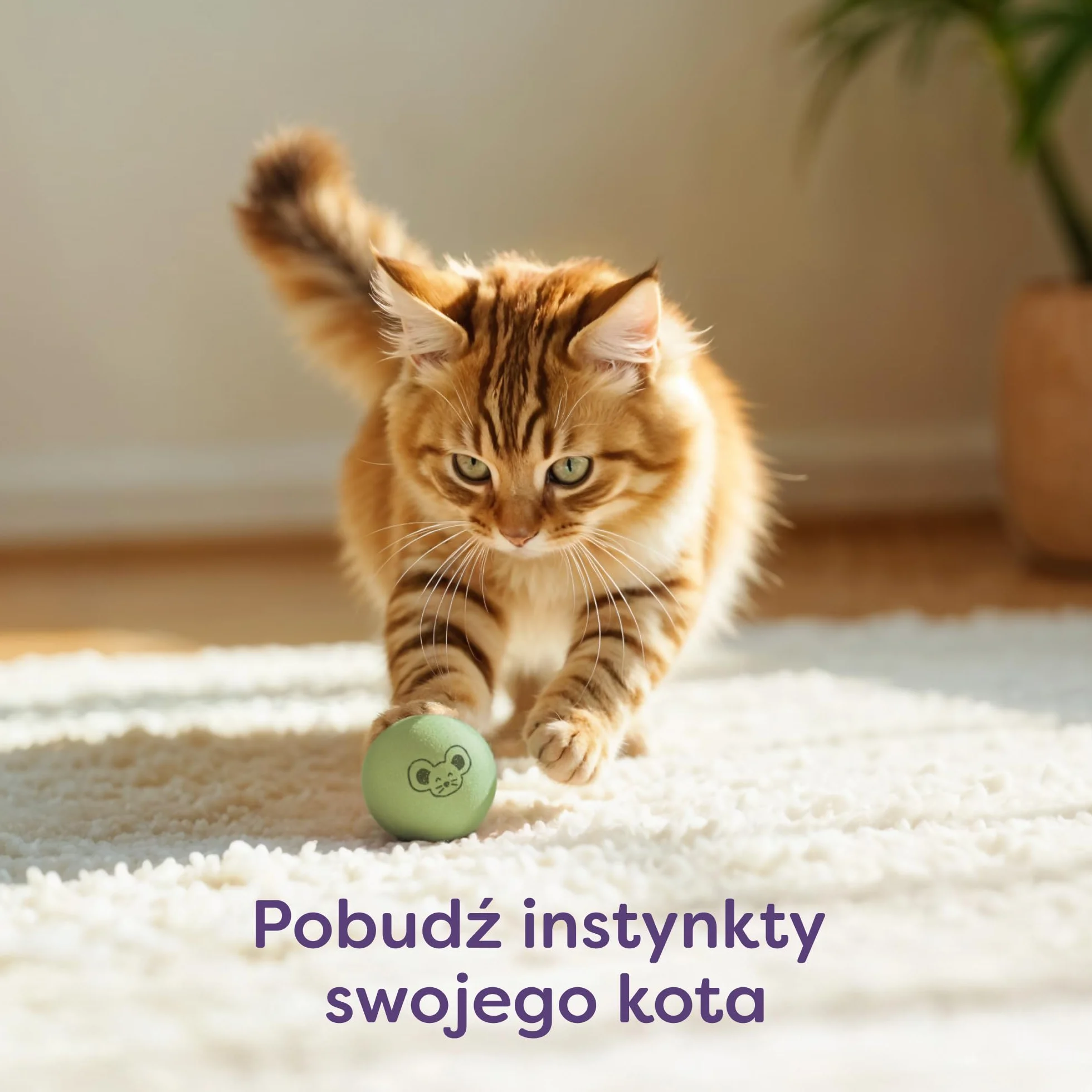Knupis Piłeczki Dla Kota Z Dzwoneczkami 4 Wełna Zrównoważona Zabawka Jasne Kolory Cichy Dźwięk Torba Do Przechowywania