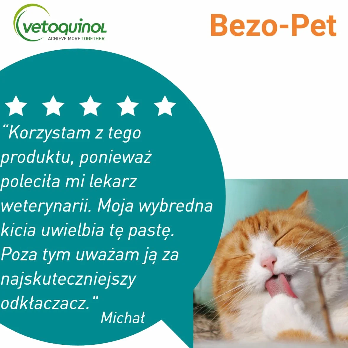 Vetoquinol Bezo-Pet 120g Pasta Odkłaczająca dla Kota Bezoary