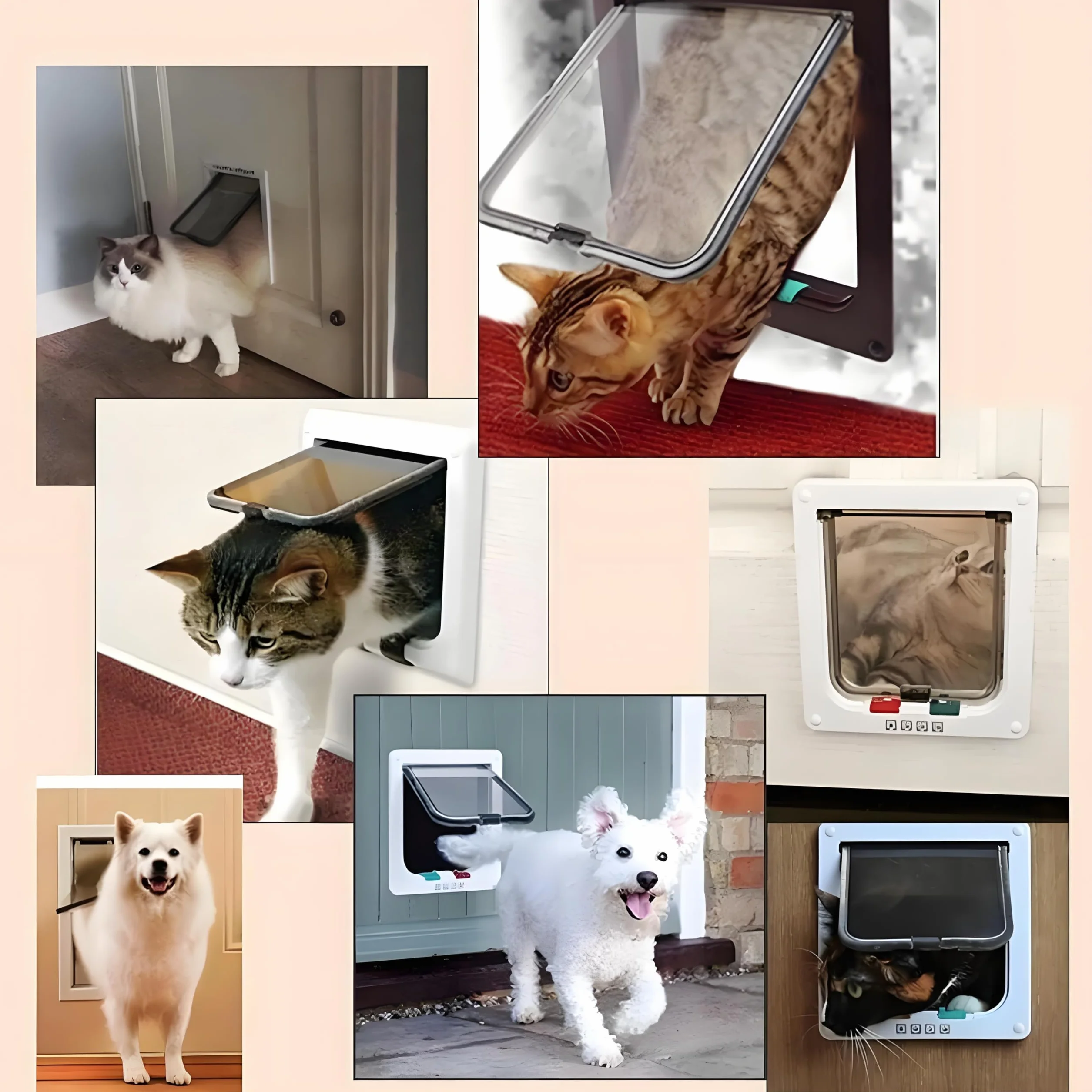 4-kierunkowe zamknięcie magnetyczne drzwi dla kota, 28 cm × 25 cm ABS Akrylowe drzwi dla kotów, drzwi dla zwierząt domowych i małych psów, koty dla kotów wewnątrz i na zewnątrz (XL)