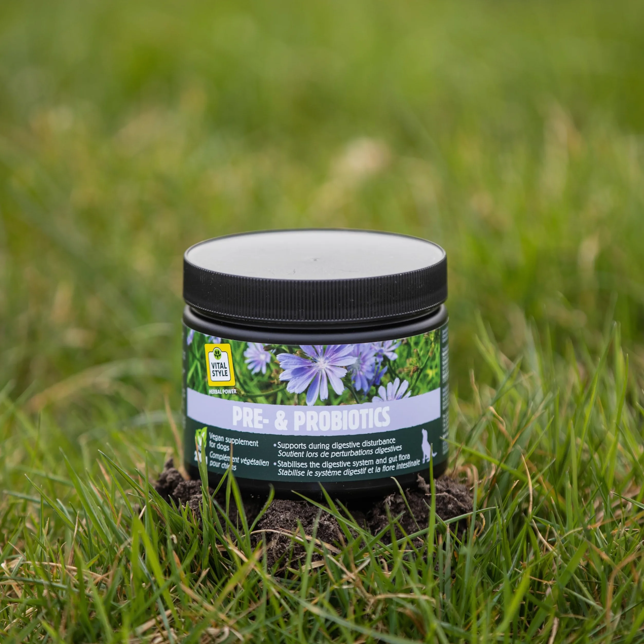 Pre- i probiotyki – prebiotyki i probiotyki dla psa – regeneracja jelit – wspomaga zdrową florę jelit i trawienie – w przypadku biegunki – 100% naturalny – 200 g proszku