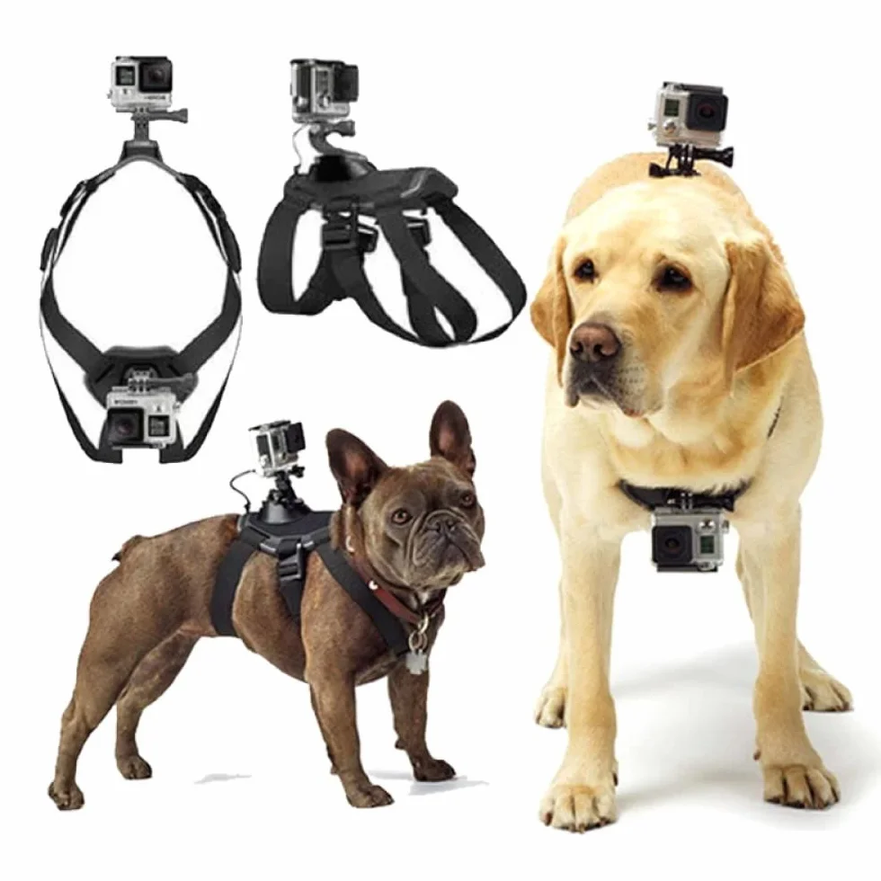 Szelki dla Psów Gopro Regulowane Miękkie Mocowanie Klatki Piersiowej i Pleców Wszystkie Modele Hero