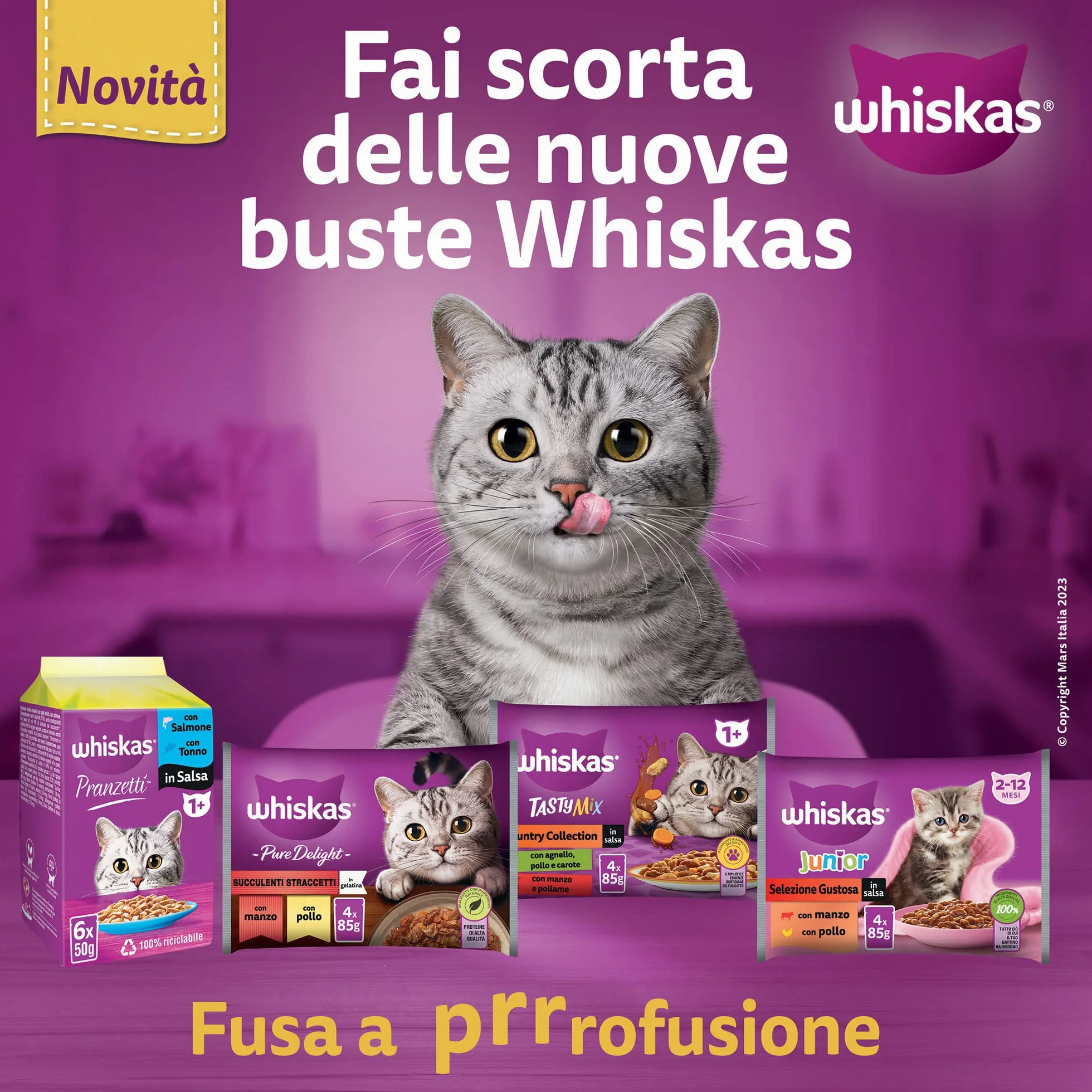 Whiskas Mokra żywność dla dorosłych kotów Wybór ryb w żelatynie w torebce 13x4x85g