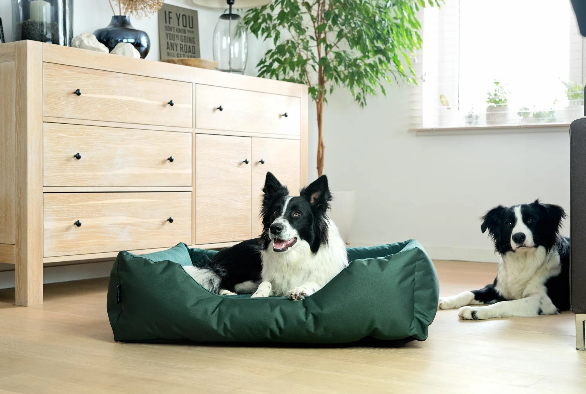 BedDog Legowisko ZARA, Sofa dla Psa z Cordury, Mikrofibra Welurowa, Zmywalne z Brzegiem, Do Domu i Na Zewnątrz, L, Pink-York (Różowy)